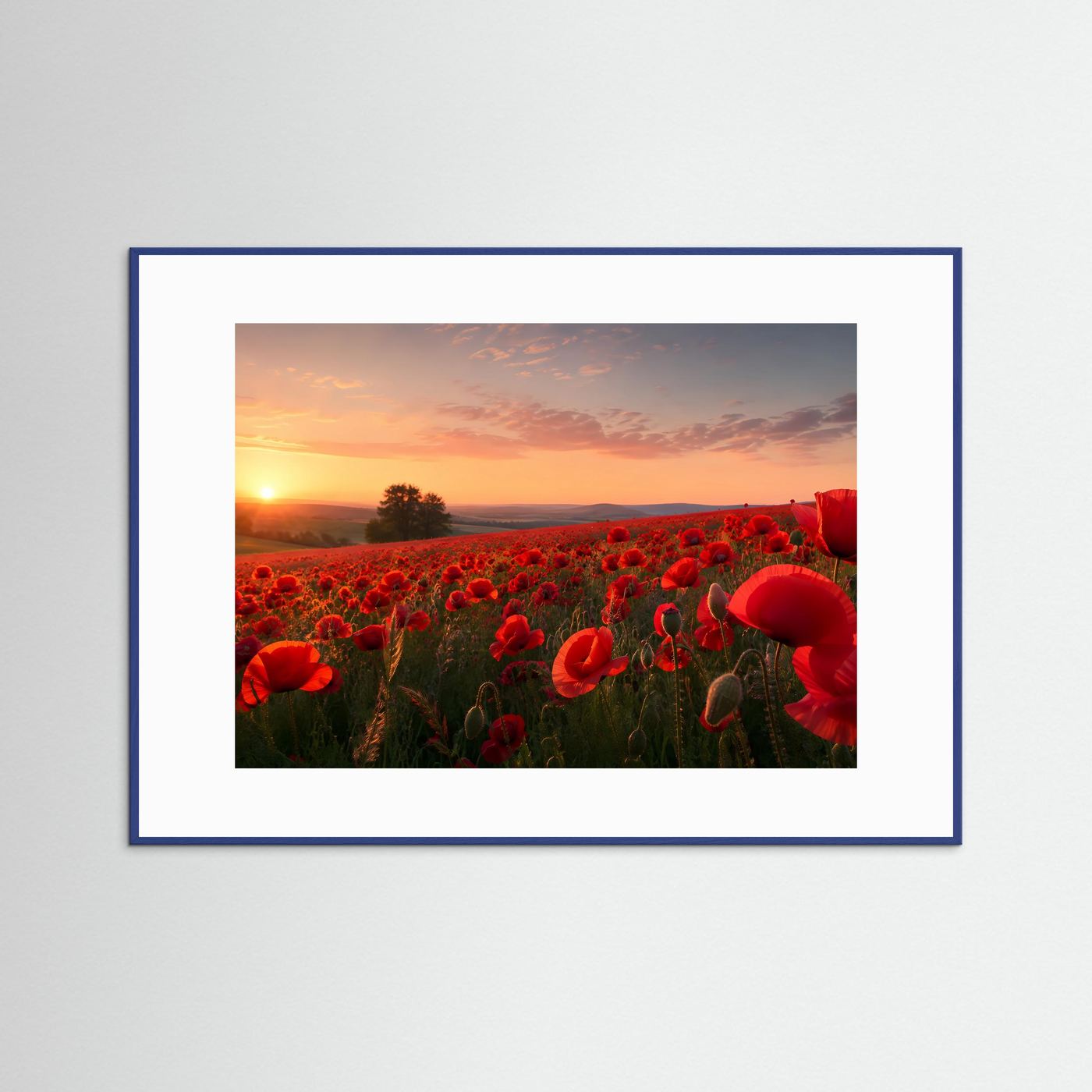 Poster mit rotem Mohnblumenfeld und Sonnenuntergang, Querformat im blauen Rahmen