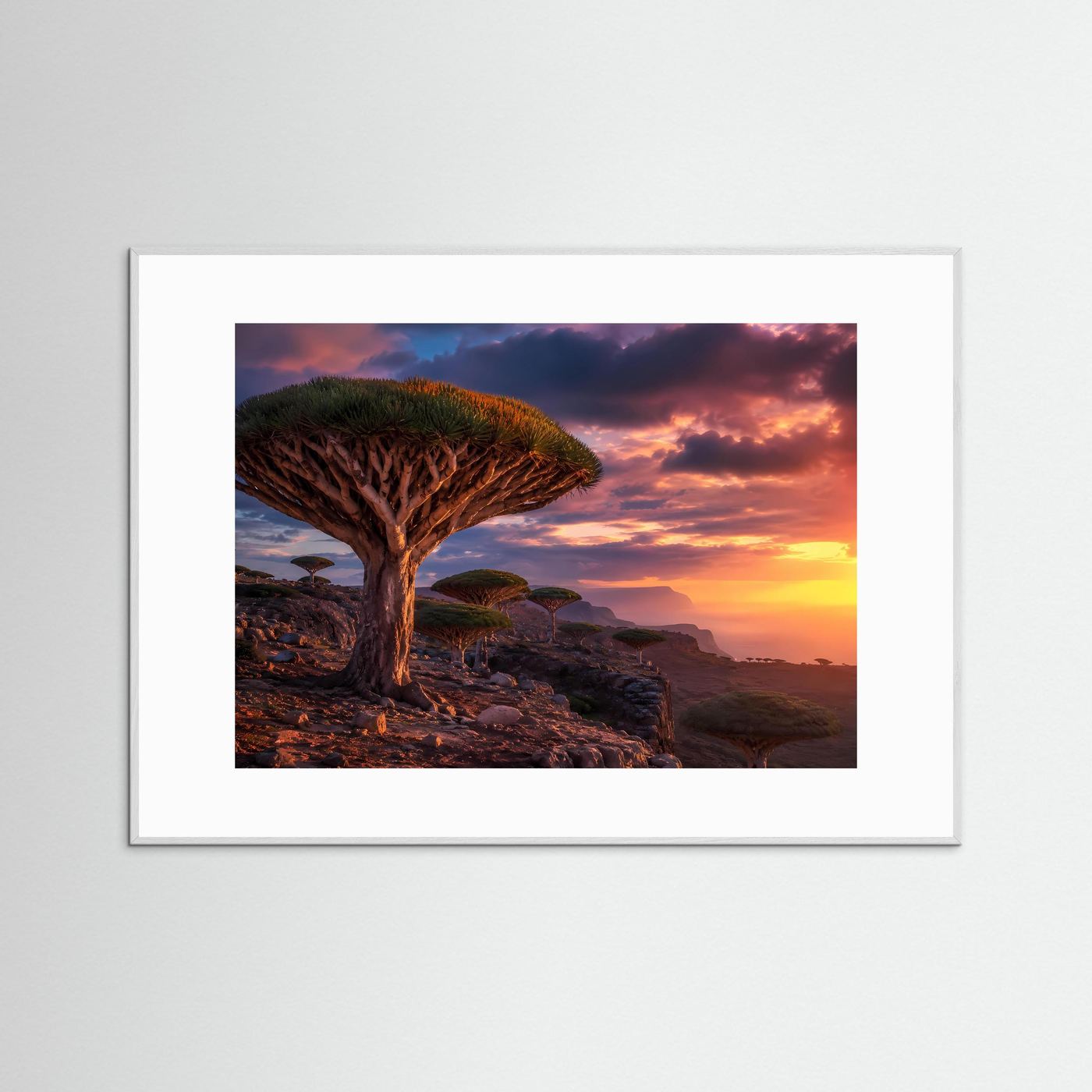 Magischer Drachenbaum-Sonnenuntergang | Sokotra & Exotische Natur Poster Querformat