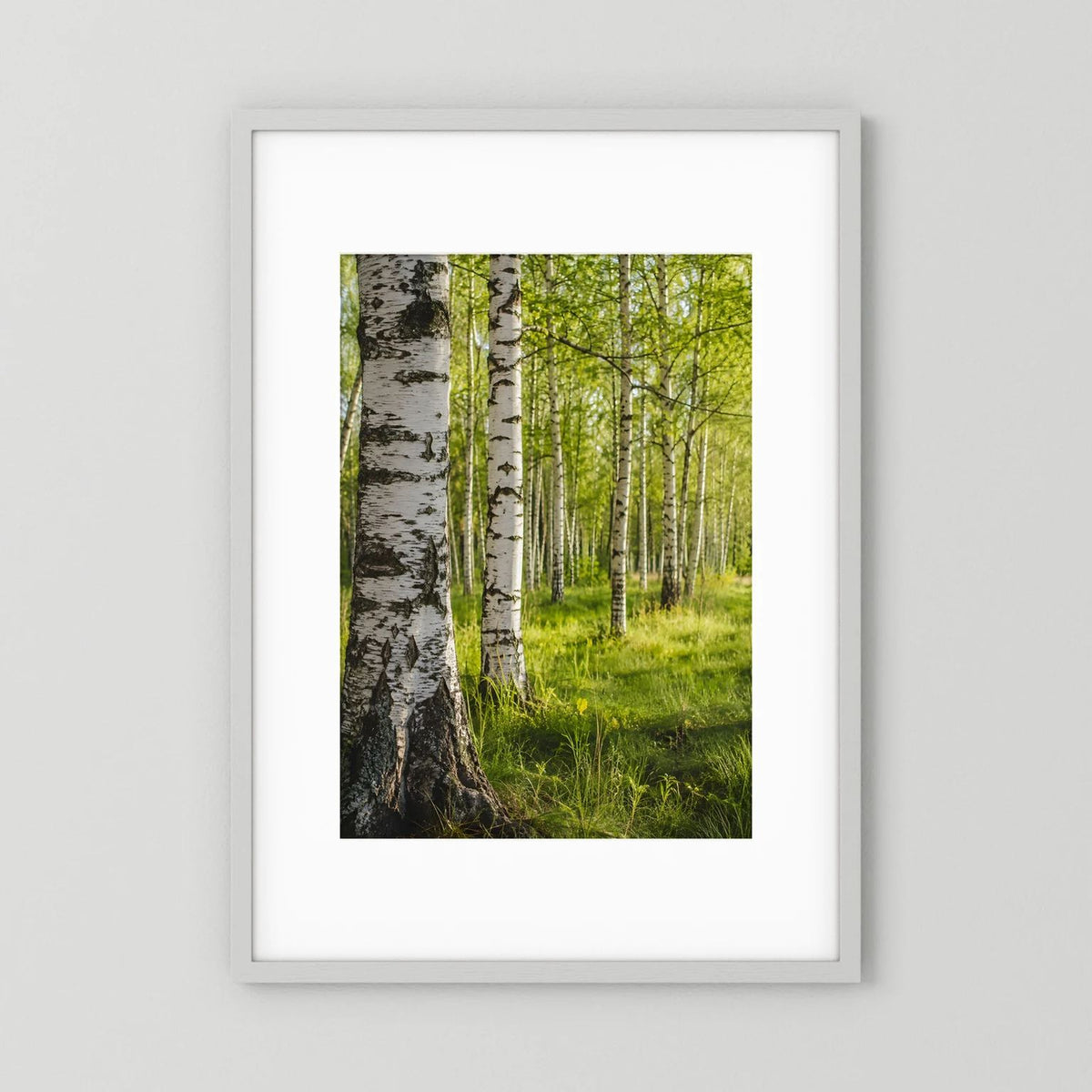Weiß gerahmtes Poster mit Birkenwald und grünem Laub im Hochformat