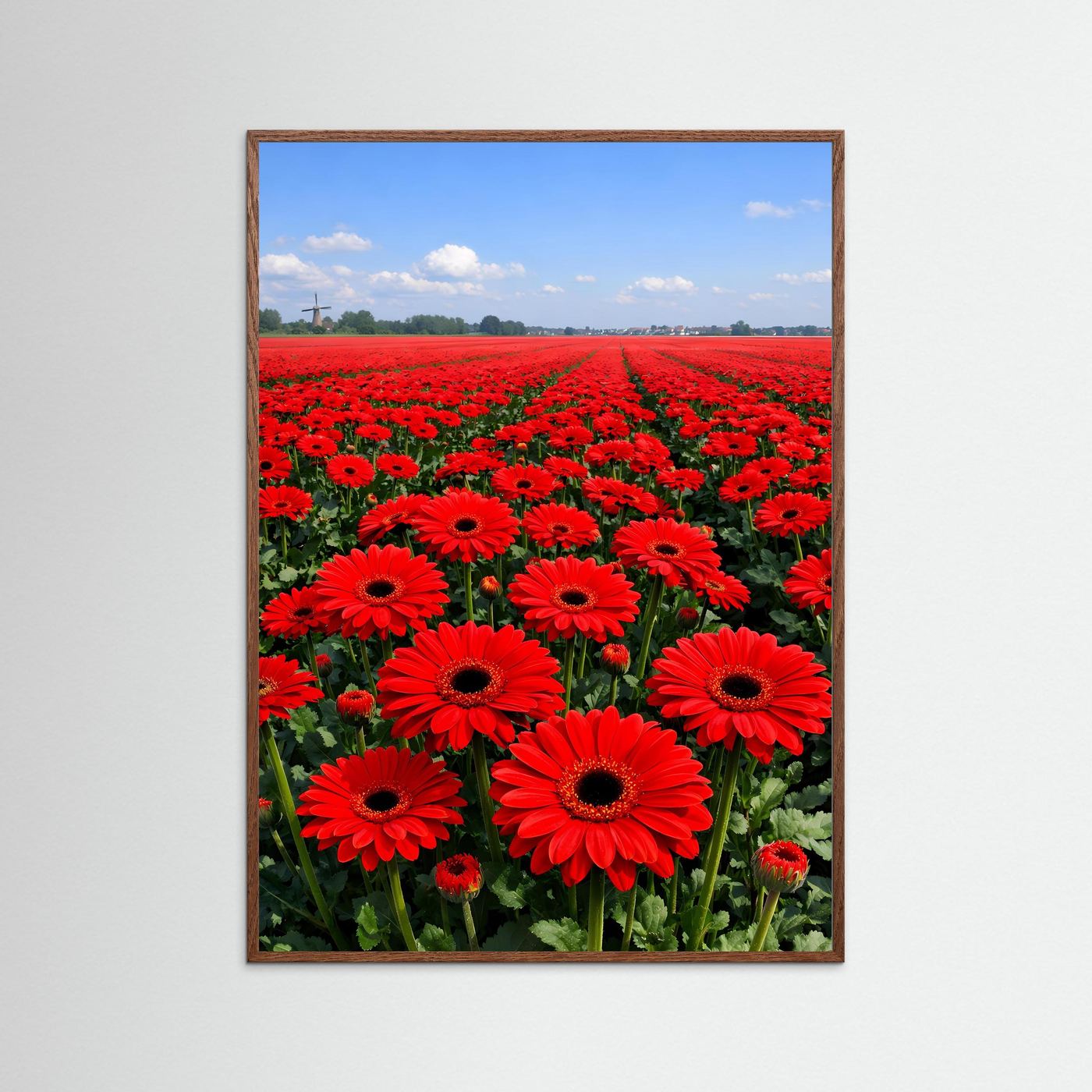 Gerbera-Poster im braunen Holzrahmen, rote Gerbera auf weiten Feldern