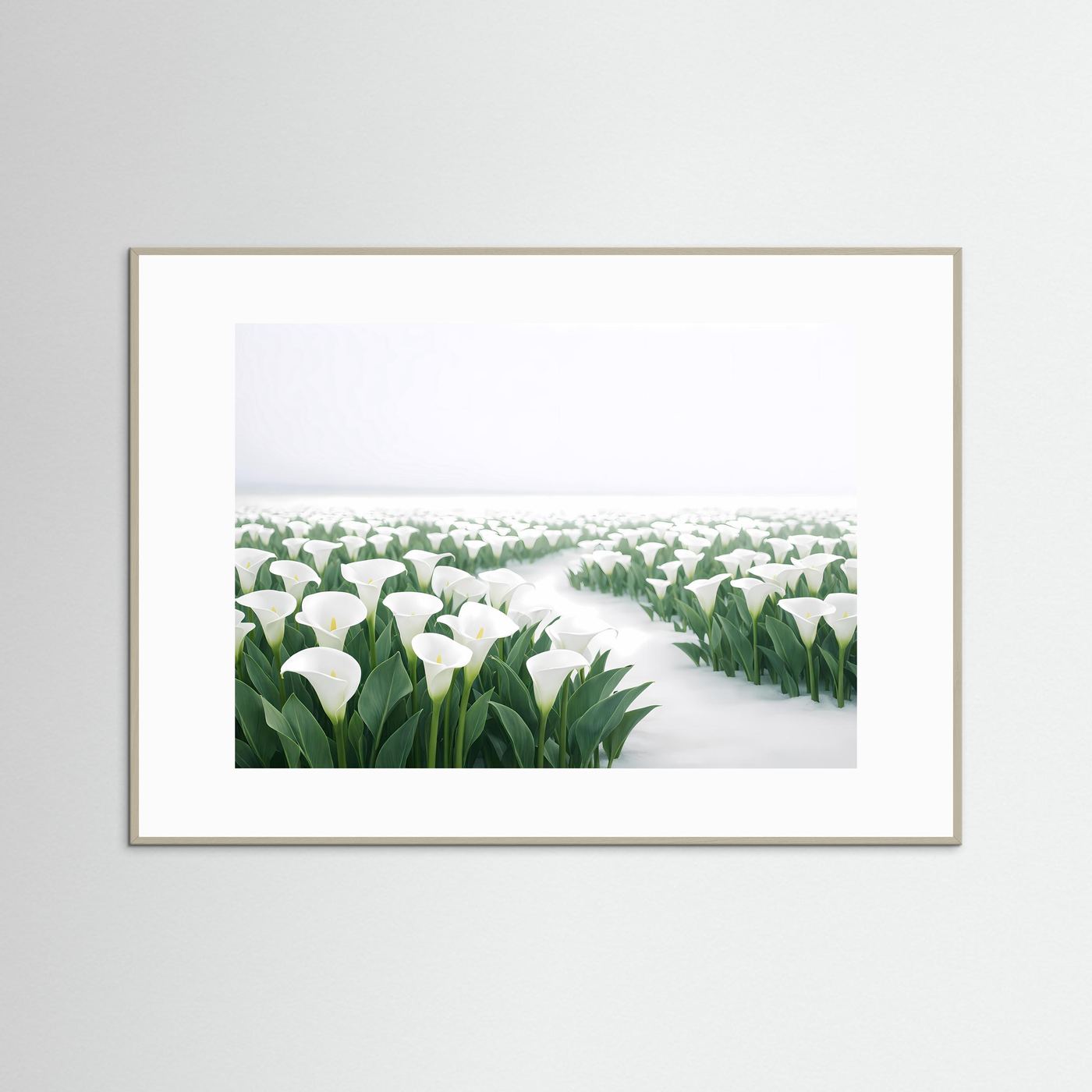 Weiße Calla Lilien im Schnee | Elegantes Blumen & Natur Poster Querformat