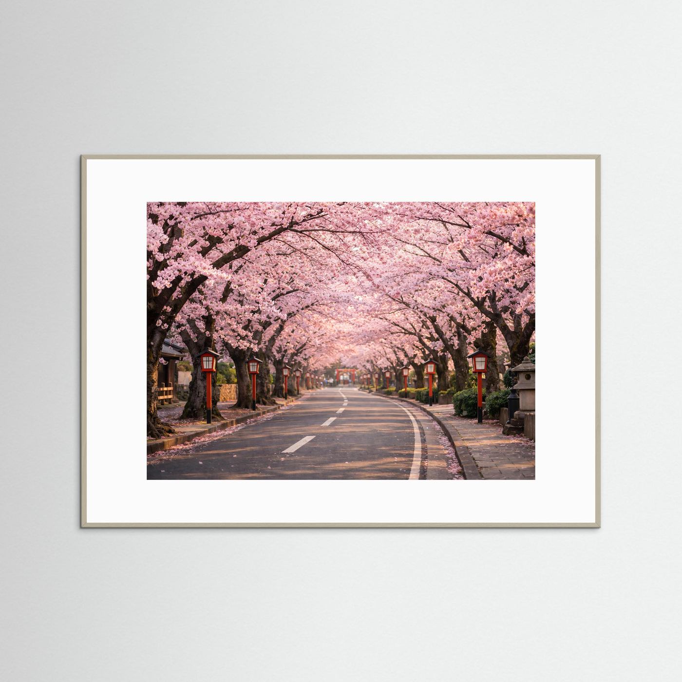 Weiß gerahmtes Poster mit Kirschblütenallee im Frühling, rosa Blüten über Landstraße