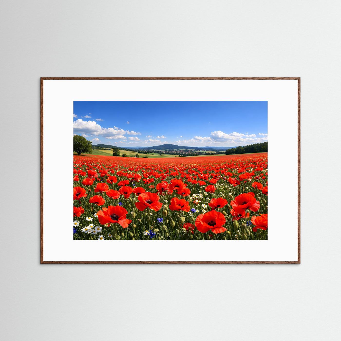 Leuchtendes Mohnblumenfeld im Sonnenschein | Sommer & Natur Poster Querformat