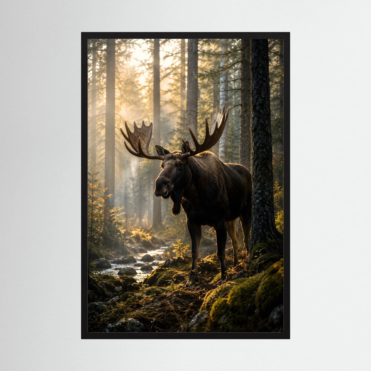 Elch-Naturposter im Wald: dunkler Elch mit Geweih, schwarzer Rahmen