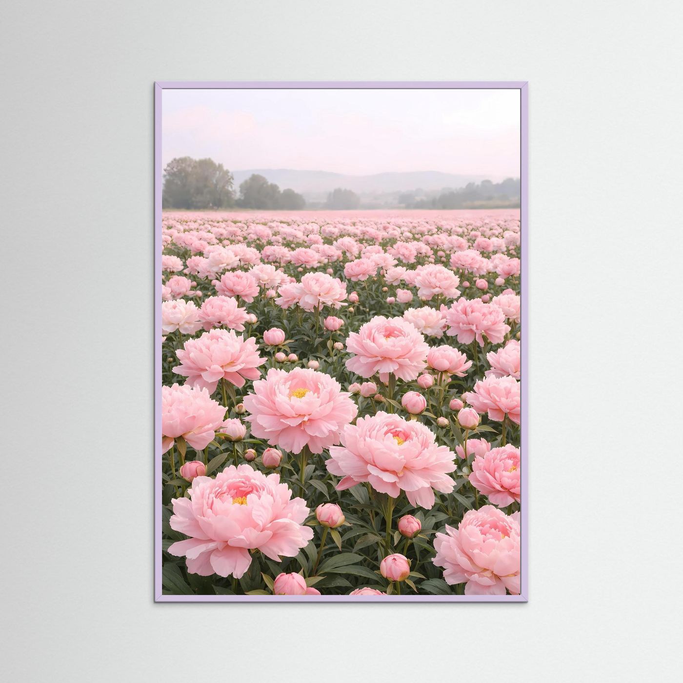 Poster Pfingstrosenfeld im Morgendunst | Rosa Blumenwiese Wandbild