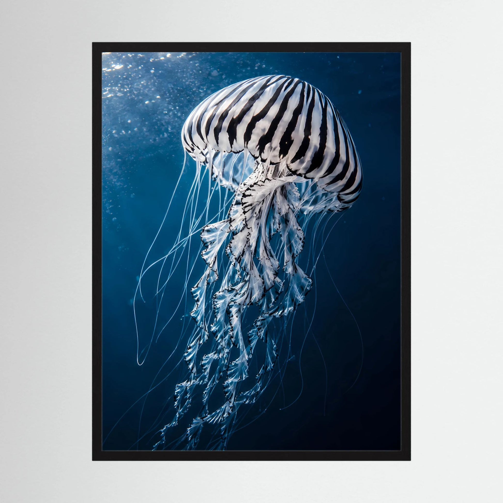 Poster mit großem Qualle-Motiv in Blau, schwarz-weißer Schirm, schwarzer Rahmen