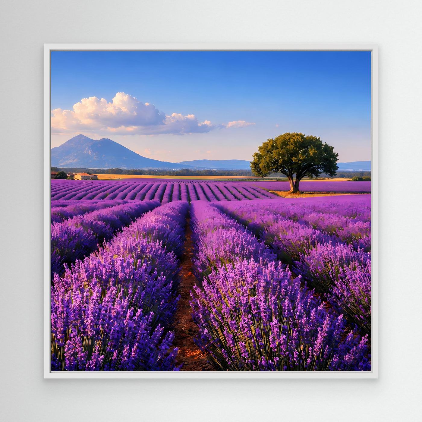 Leinwand-Landschaftsbild mit Lavendelfeld und Baum, weißer Rahmen