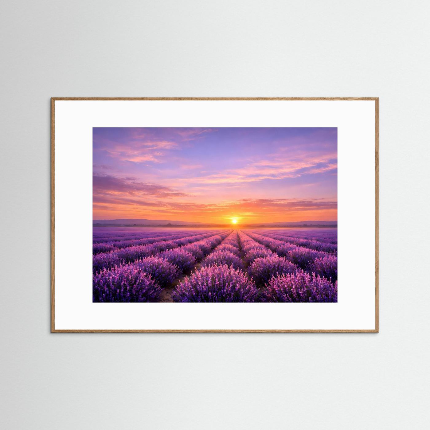 Wandbild Lavendelfeld-Sonnenuntergang, dunkler Holzrahmen, weißes Passepartout