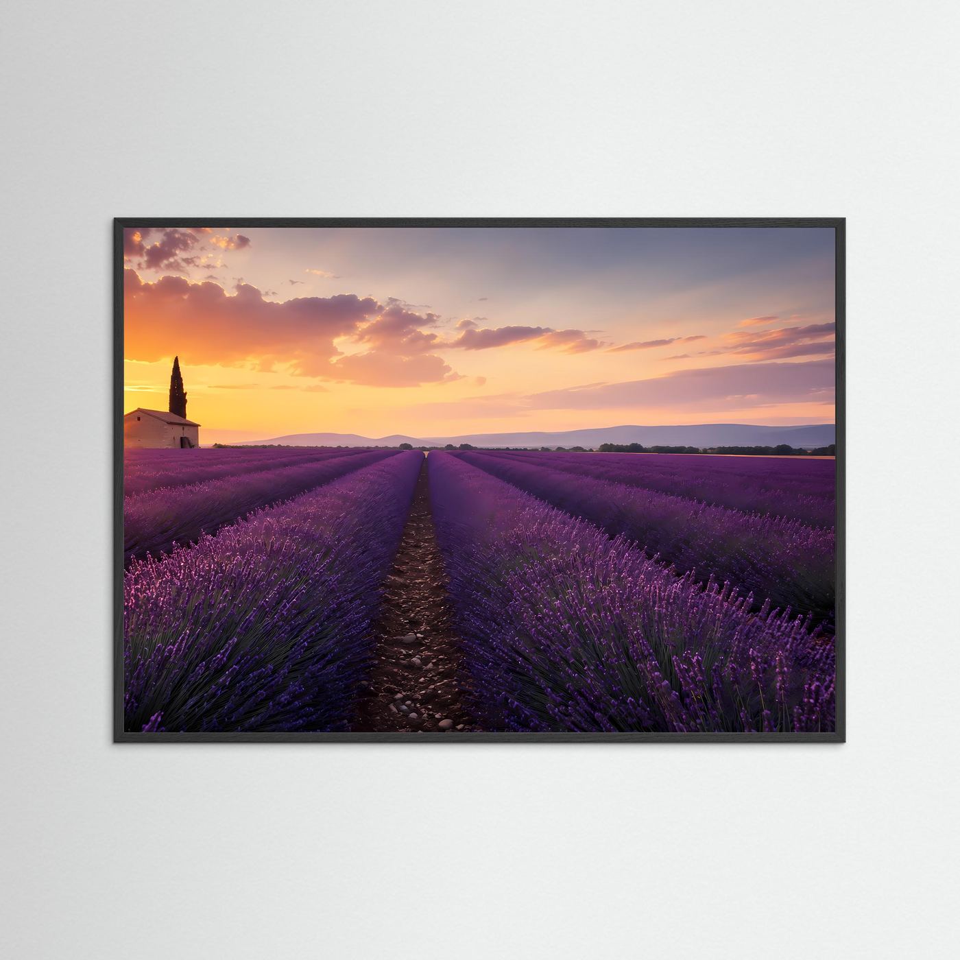 Lavendelfeld im Sonnenuntergang | Provence Landschaft in Lila & Gold