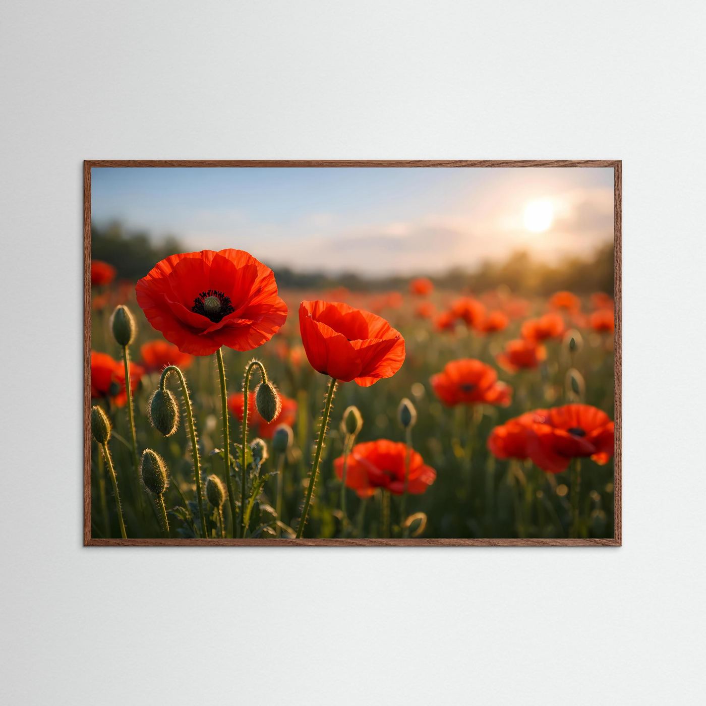 Mohnblumen-Poster mit roten Blüten bei Sonnenuntergang, brauner Holzrahmen