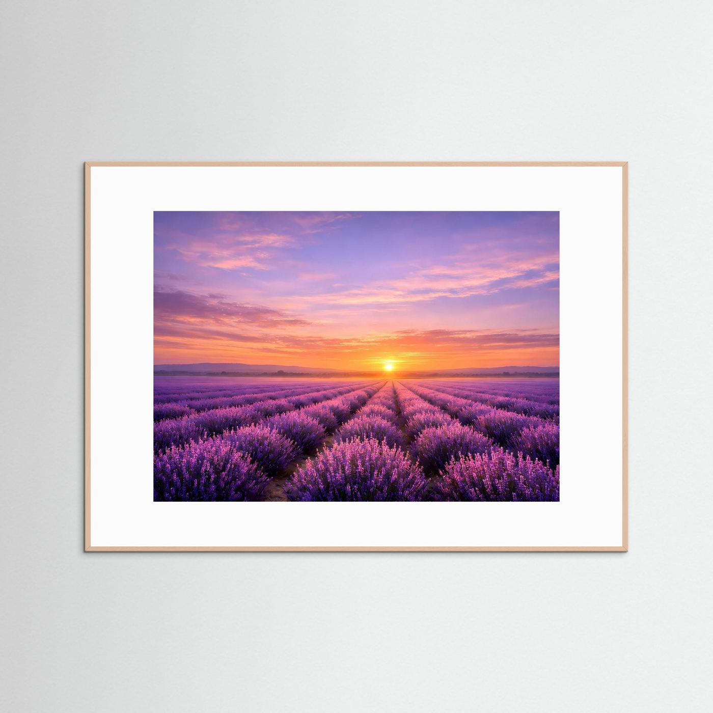 Wandbild Lavendelfeld-Sonnenuntergang, heller Holzrahmen, weißes Passepartout