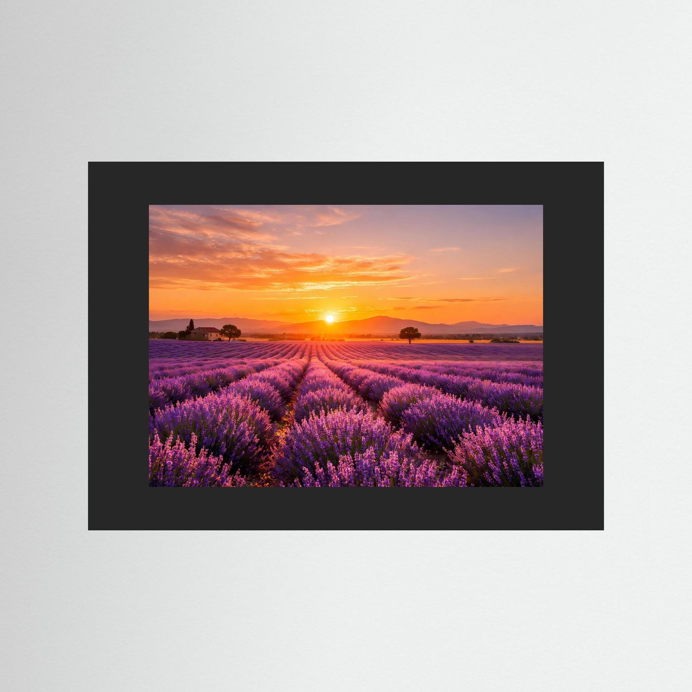 Poster mit Lavendelfeld und goldenem Sonnenuntergang, schwarzer Holzrahmen