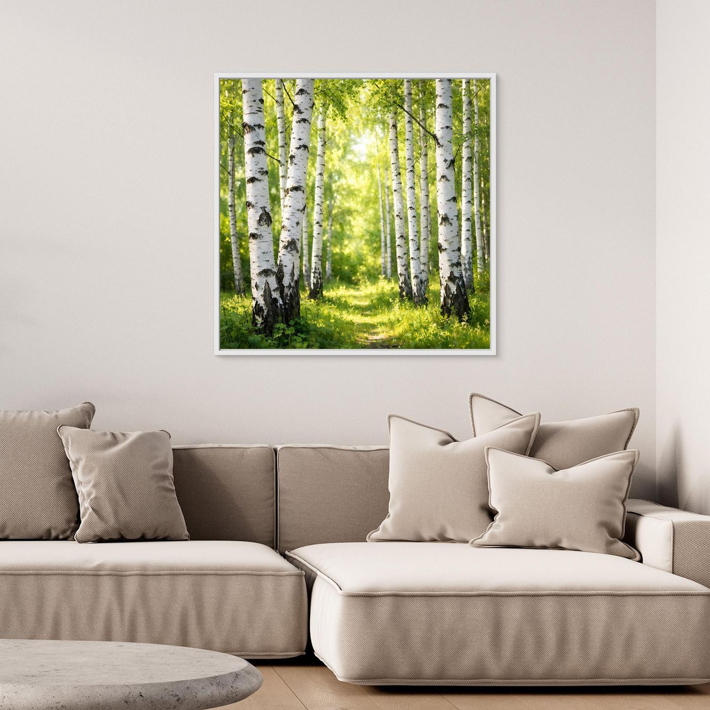Leinwandbild Birkenwald im Sonnenlicht, quadratisch, mit weißem Rand