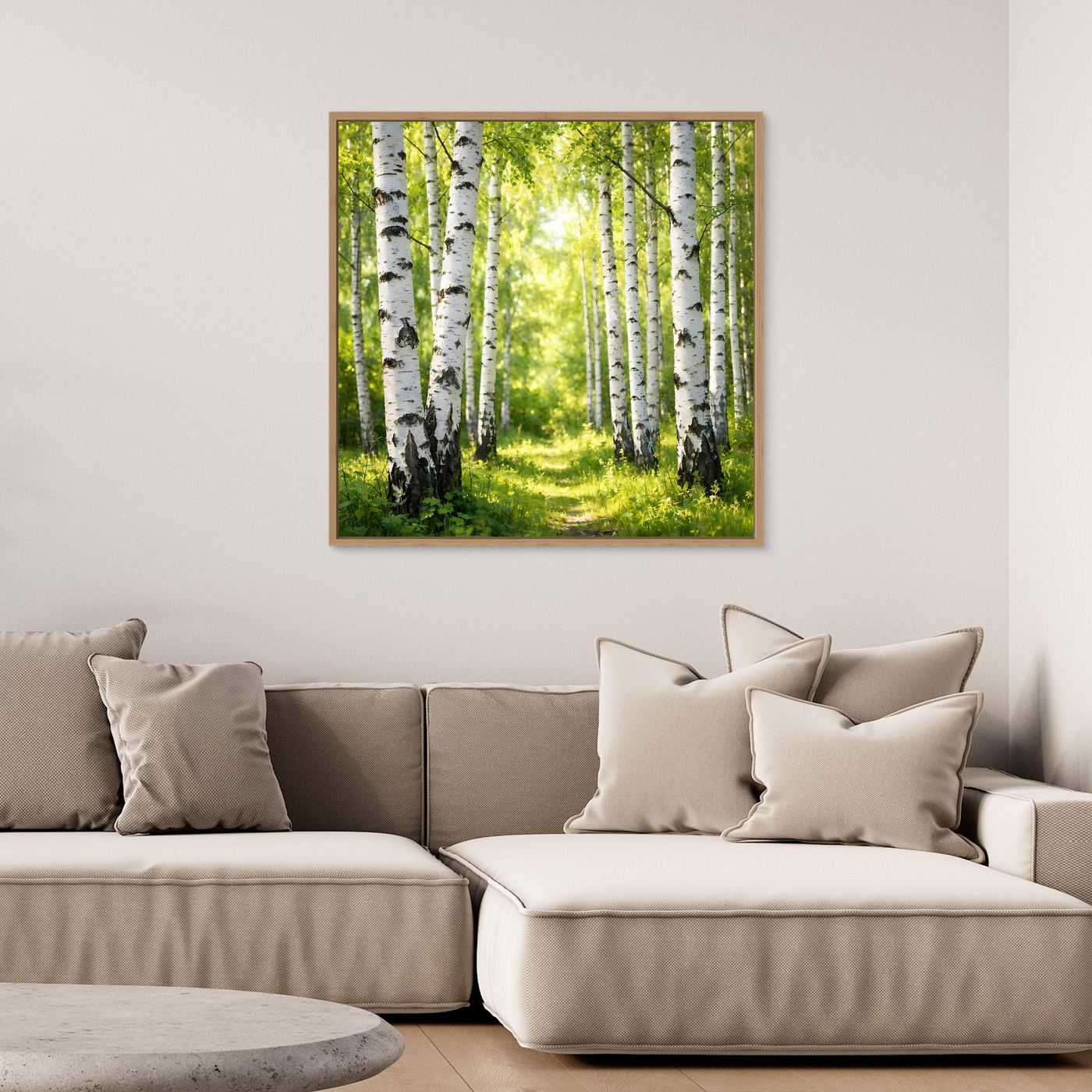 Leinwandbild Birkenwald im Sonnenlicht, quadratisch, mit braunem Holzrahmen