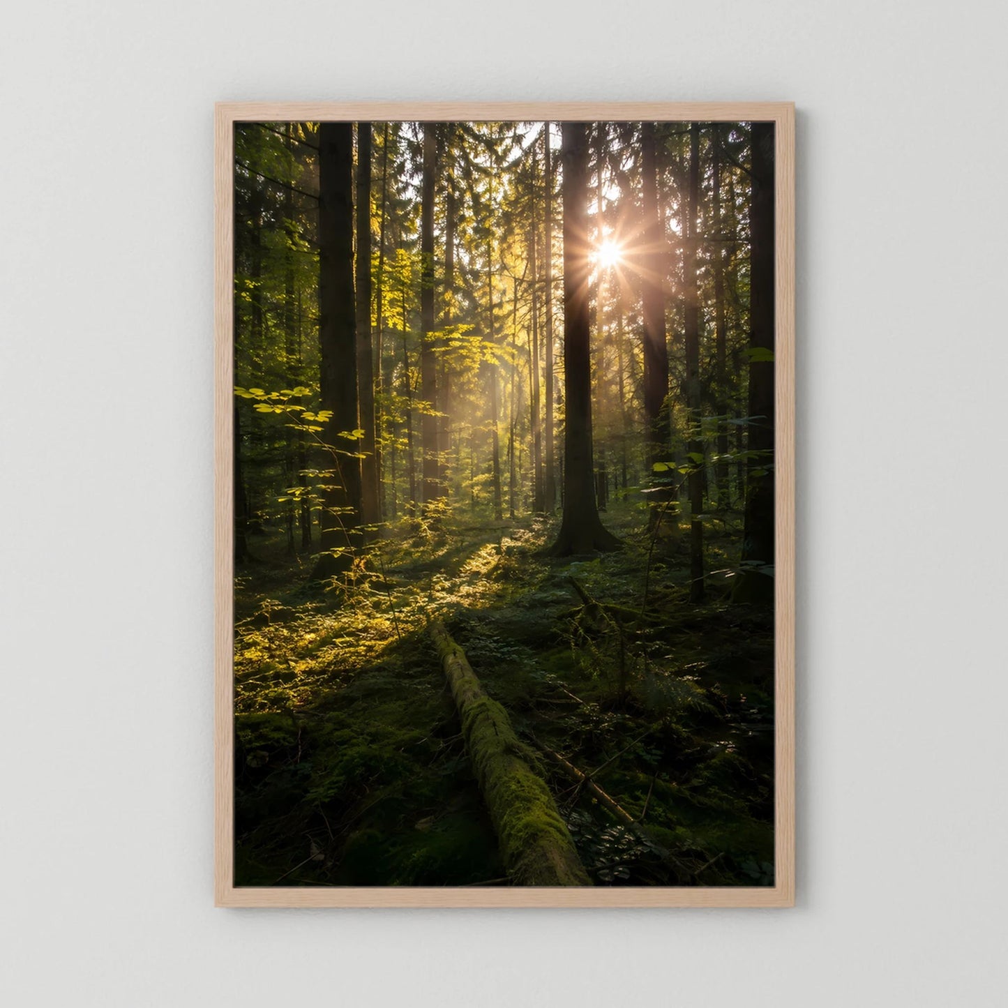 Poster im Hochformat mit hellem Holzrahmen, Waldlicht mit Bäumen und Moos