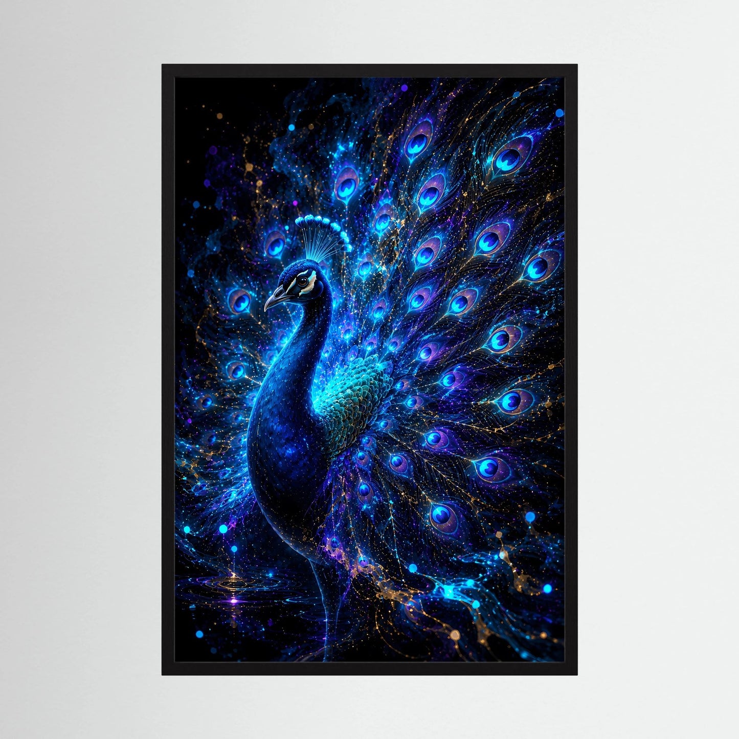 Pfauenposter im schwarzen Rahmen: leuchtender blauer Pfau mit strahlenden blauen Pfauenaugen