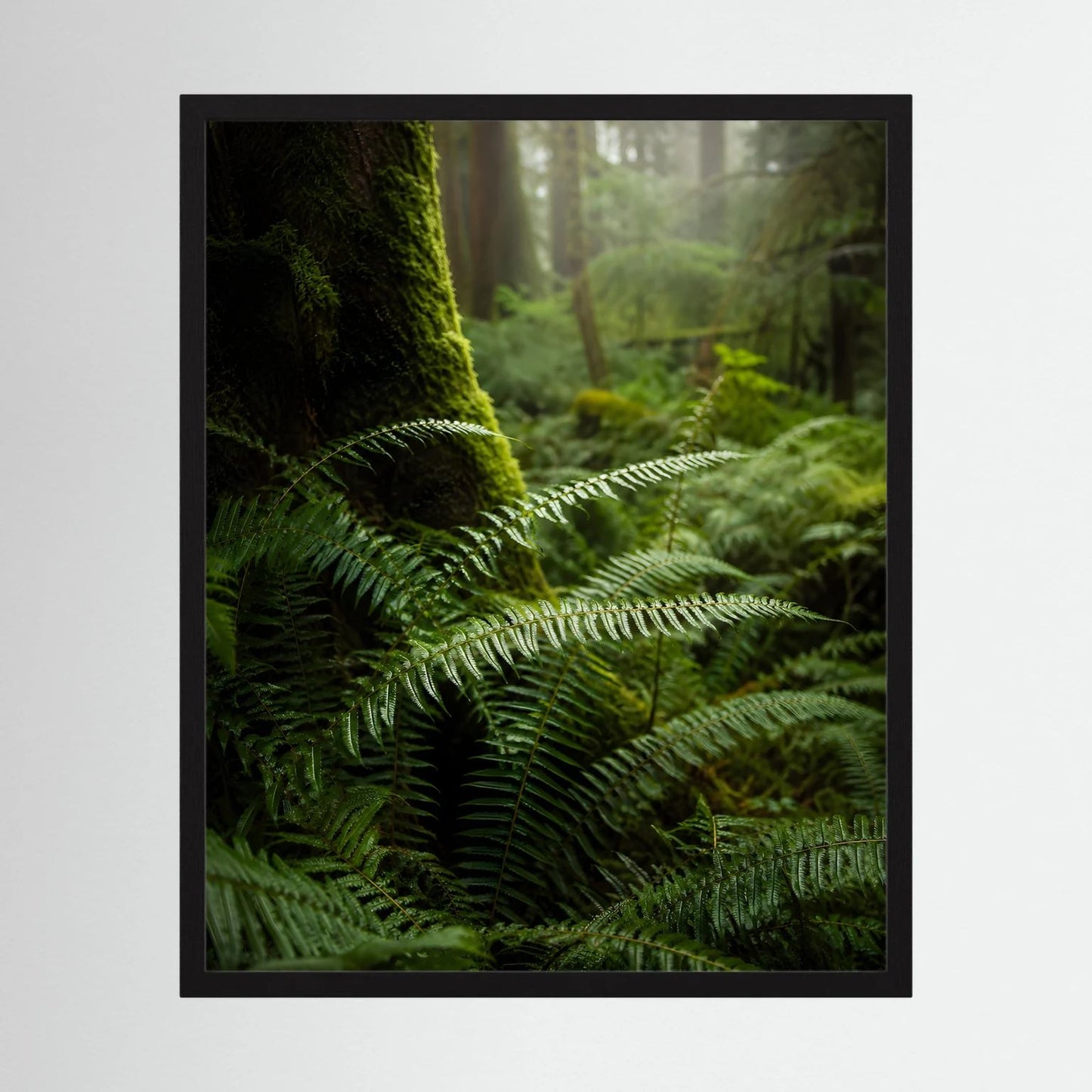 Poster mit grünem Farn im Wald im schwarzen Rahmen, moosbewachsene Stämme