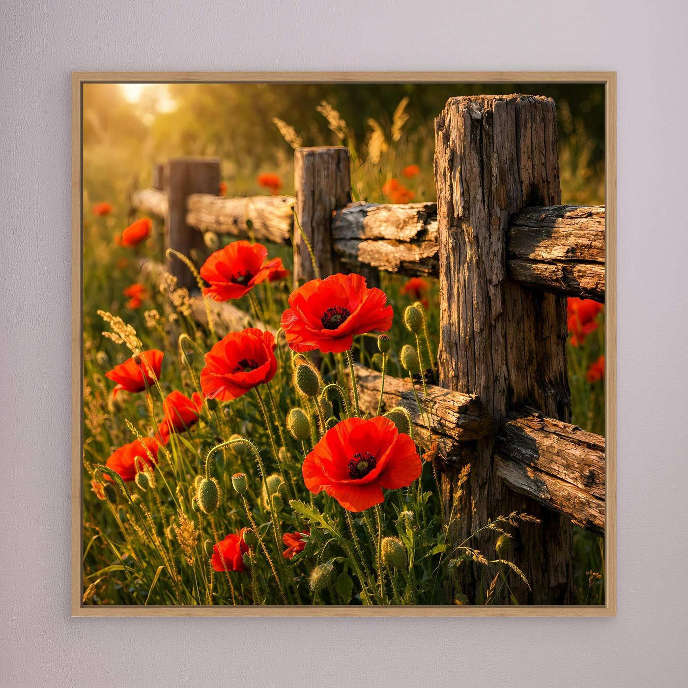 Leinwandbild mit roten Mohnblumen am Zaun, beiger Holzrahmen