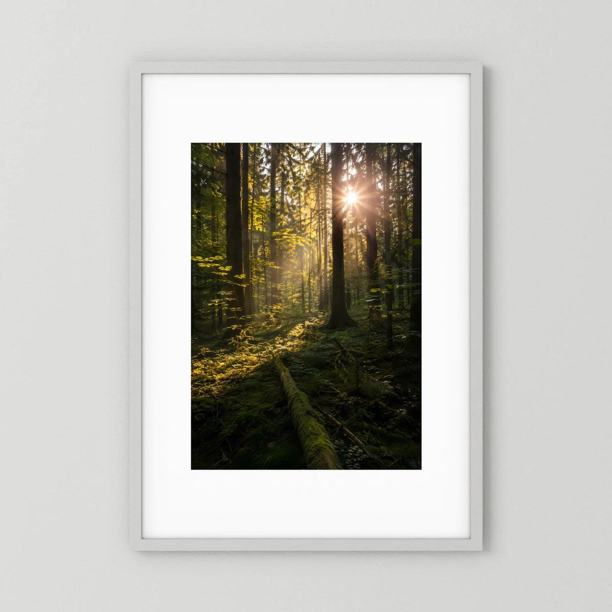Hochformat-Poster mit Waldmotiv und Sonnenstrahlen durch die Bäume, in hellem Rahmen