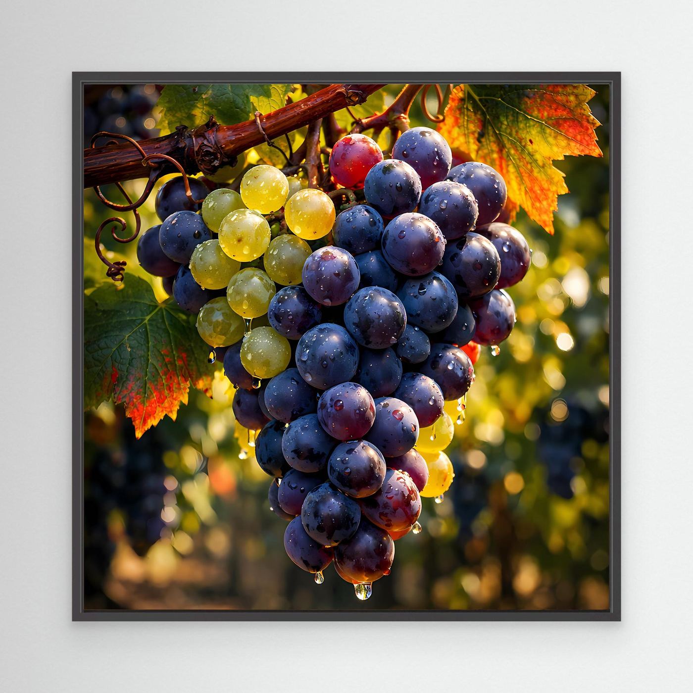 Wandbild mit Weinreben im schwarzen Rahmen: blaue und gelbe Weintrauben, Herbstlaub