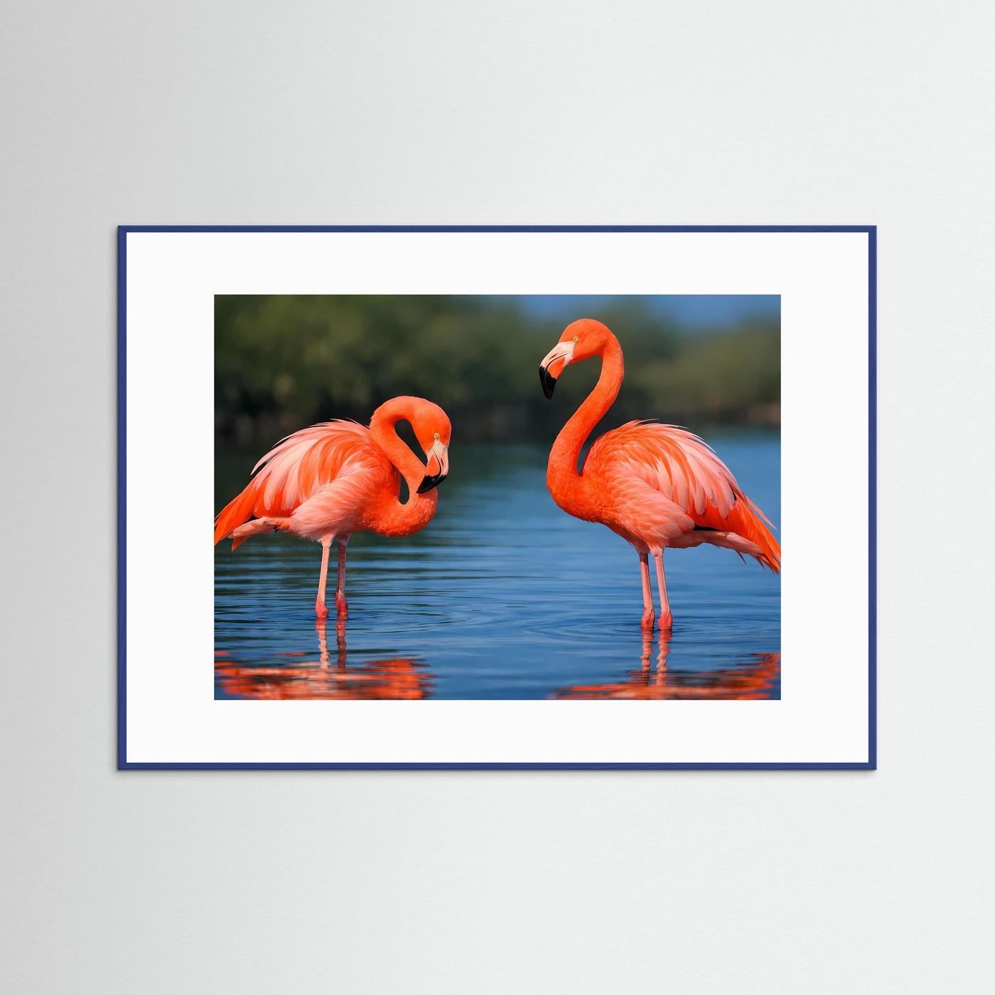 Poster mit zwei rosa Flamingos im Wasser, mit blauem Rahmen und weißem Rand.