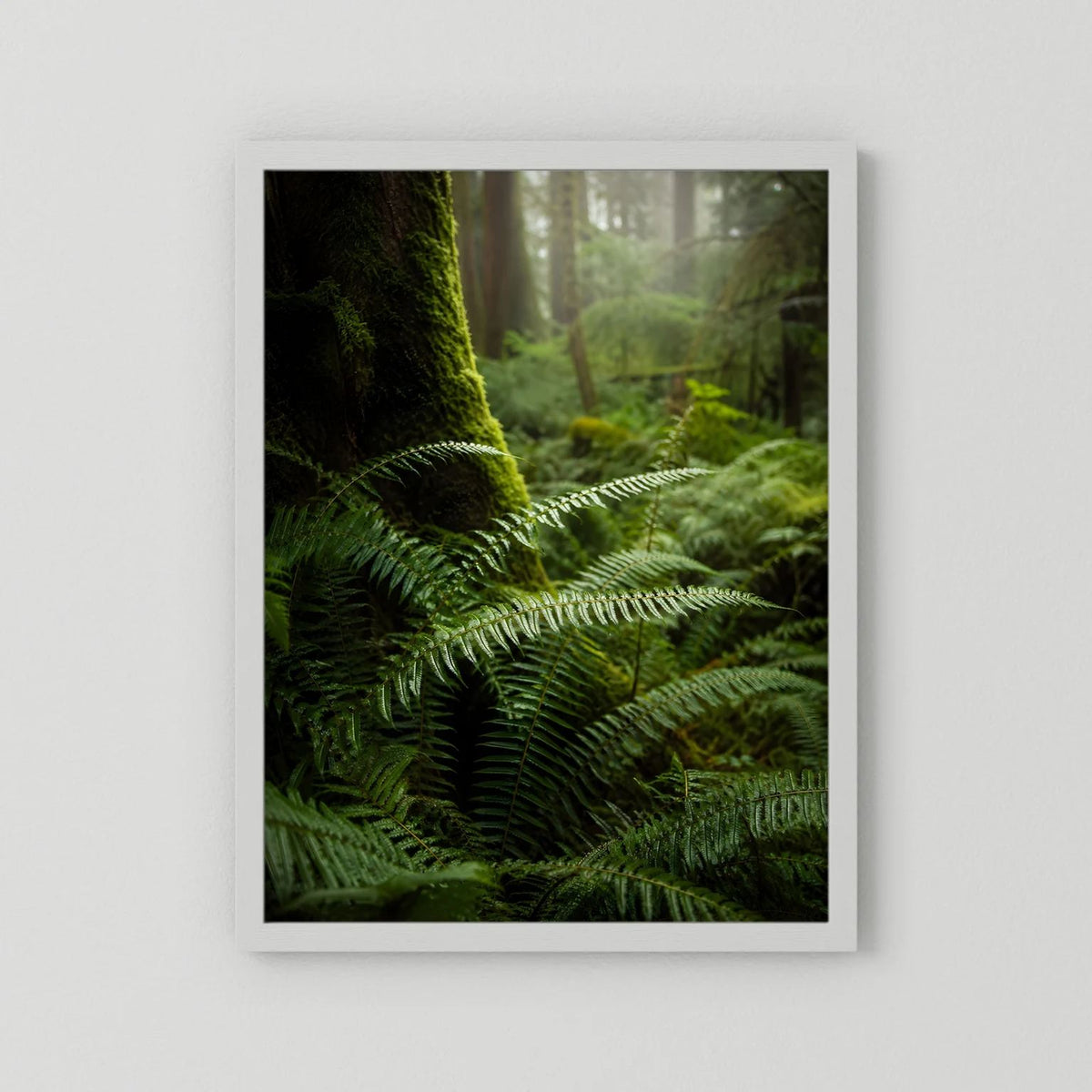 Poster: grüner Farn im Mooswald, weißer Rahmen, Hochformat