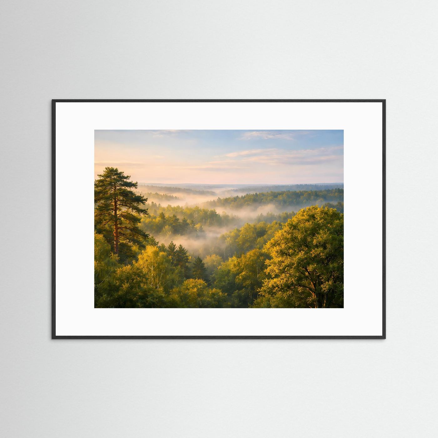 Morgenlicht über dem Nebelwald | Baumkronen & Natur Panorama Poster Querformat