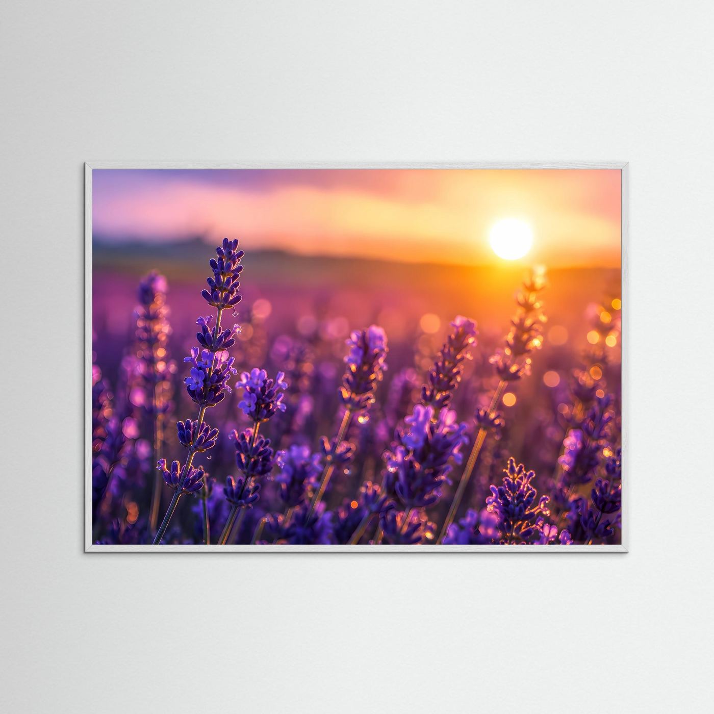 Lavendel Sonnenuntergang Poster | Provence Blumenfeld Wandbild | Romantische Naturfotografie mit Goldenem Abendlicht