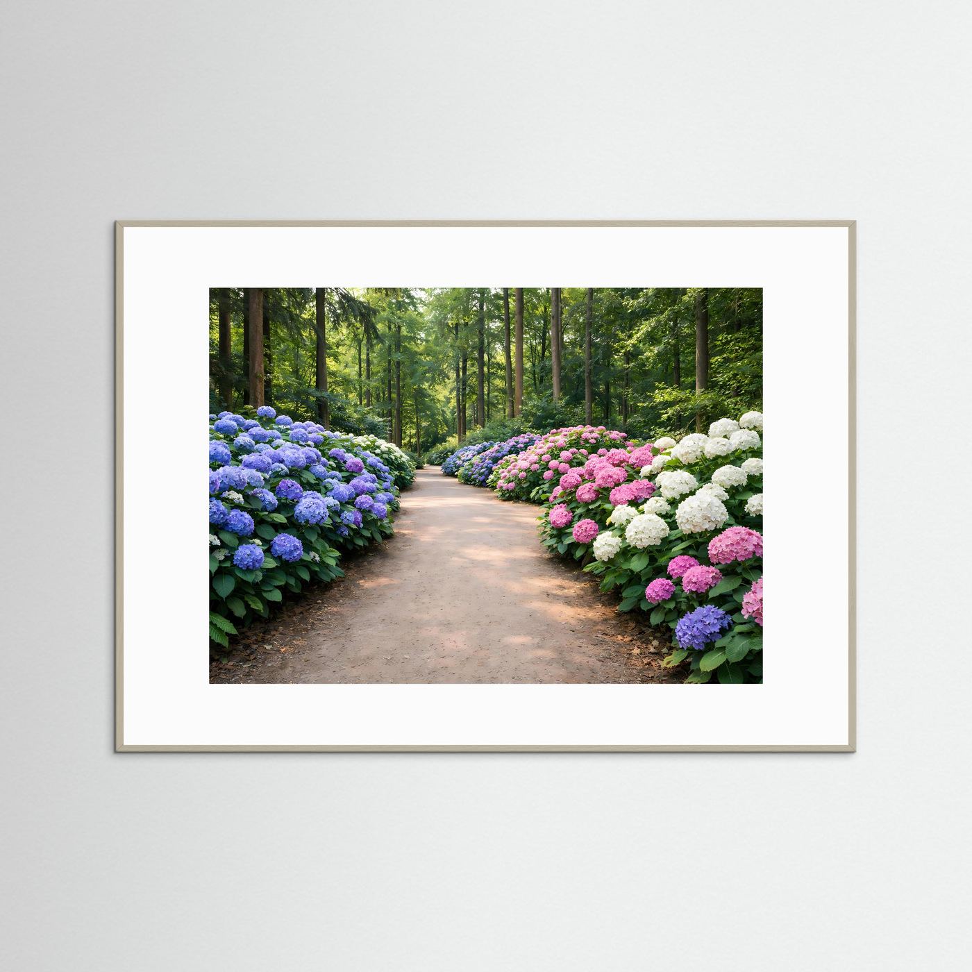 Blühende Hortensien-Allee im Park | Panorama Garten & Blumen Poster Querformat