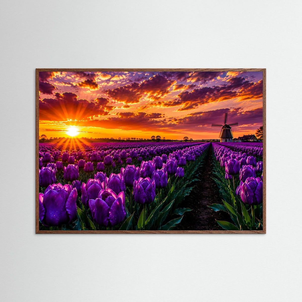 Poster mit violetten Tulpen und Windmühle bei Sonnenuntergang, Querformat, dunkler Holzrahmen