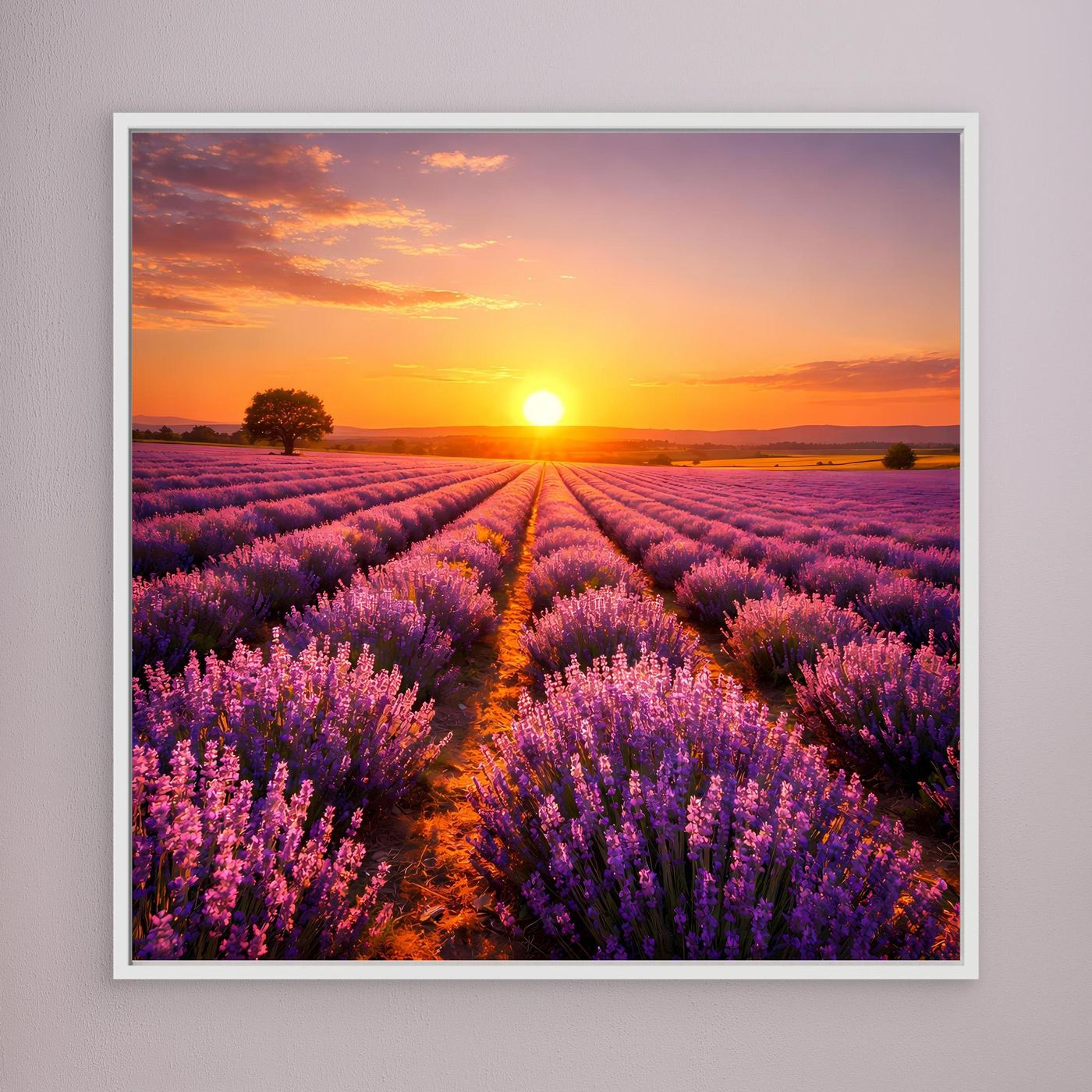 Leinwandbild mit Lavendelfeld bei Sonnenuntergang, weißes Rahmenprofil