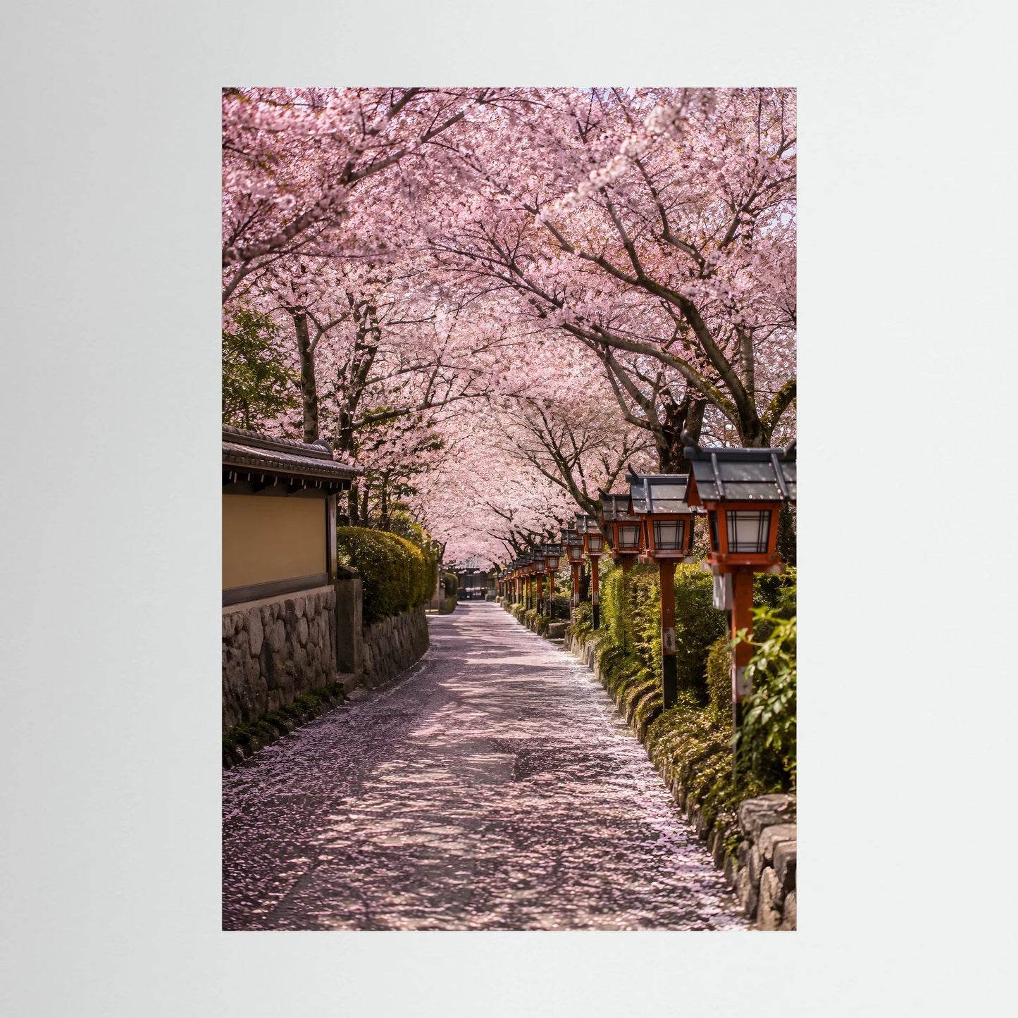 Hochformatiges Poster mit Kirschblütenallee und japanischen Laternen, rosa Blüten