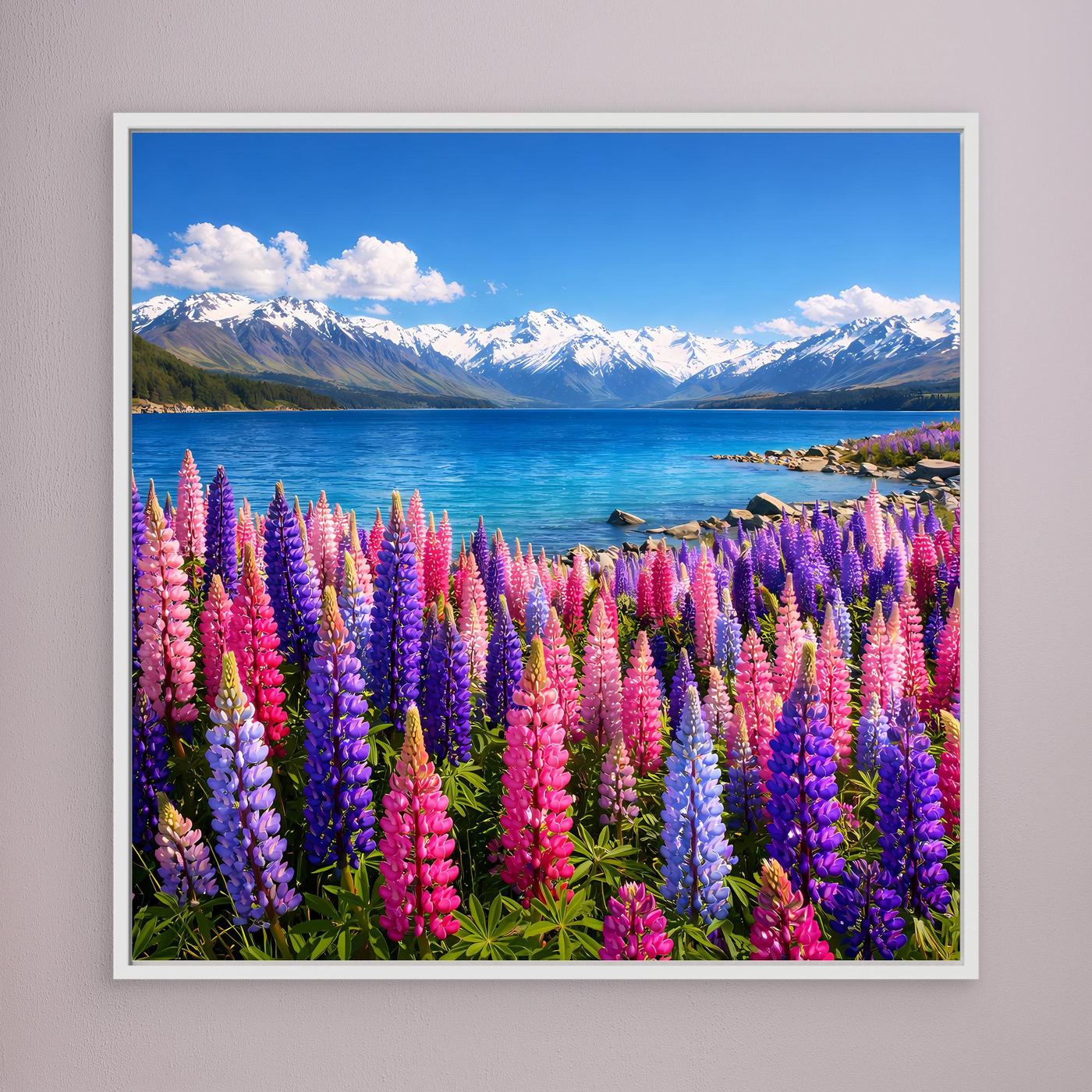 Leinwandbild mit bunten Lupinen am Bergsee, weiß gerahmt