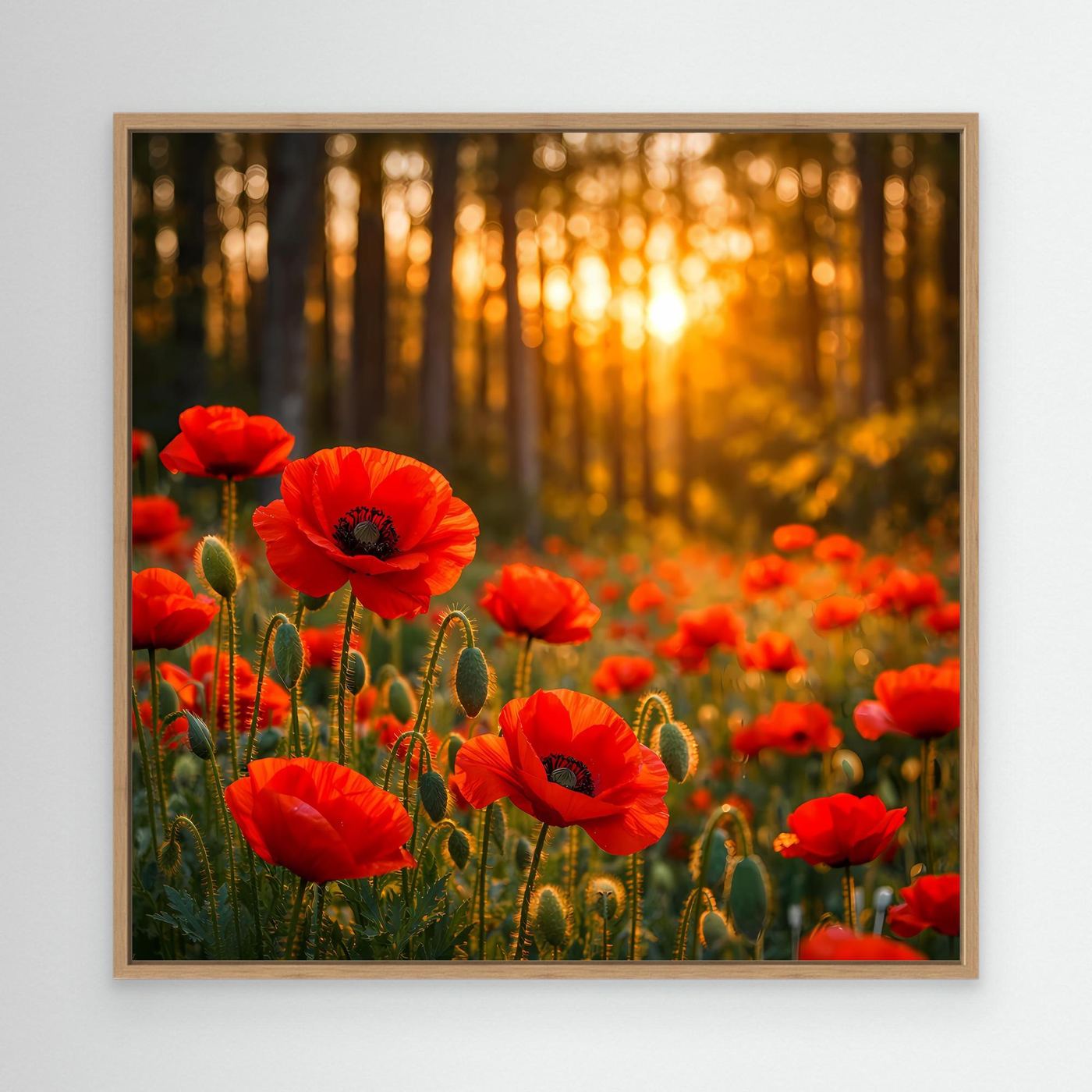 Leinwandbild mit roten Mohnblumen im goldenen Wald bei Sonnenuntergang, Eichenrahmen