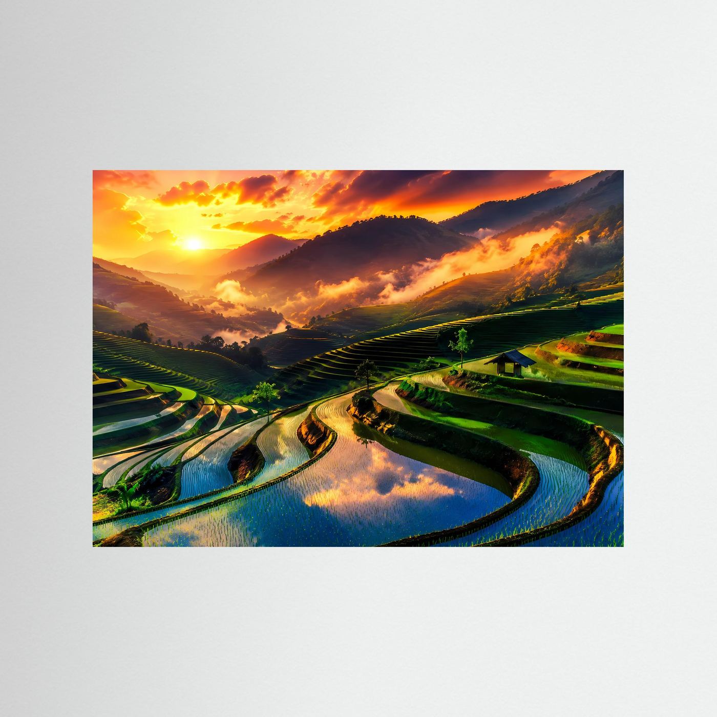 Atemberaubende Reisterrassen im Sonnenuntergang | Panoramablick Natur- & Landschafts-Poster Querformat
