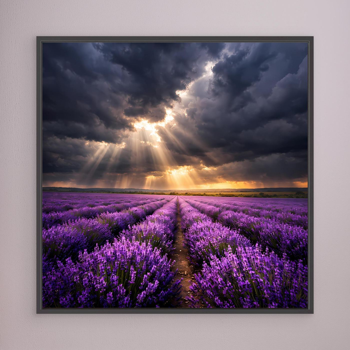 Leinwandbild mit lila Lavendelfeld, Lichtstrahlen durch Wolken, Sonnenuntergang; schwarzer Rahmen