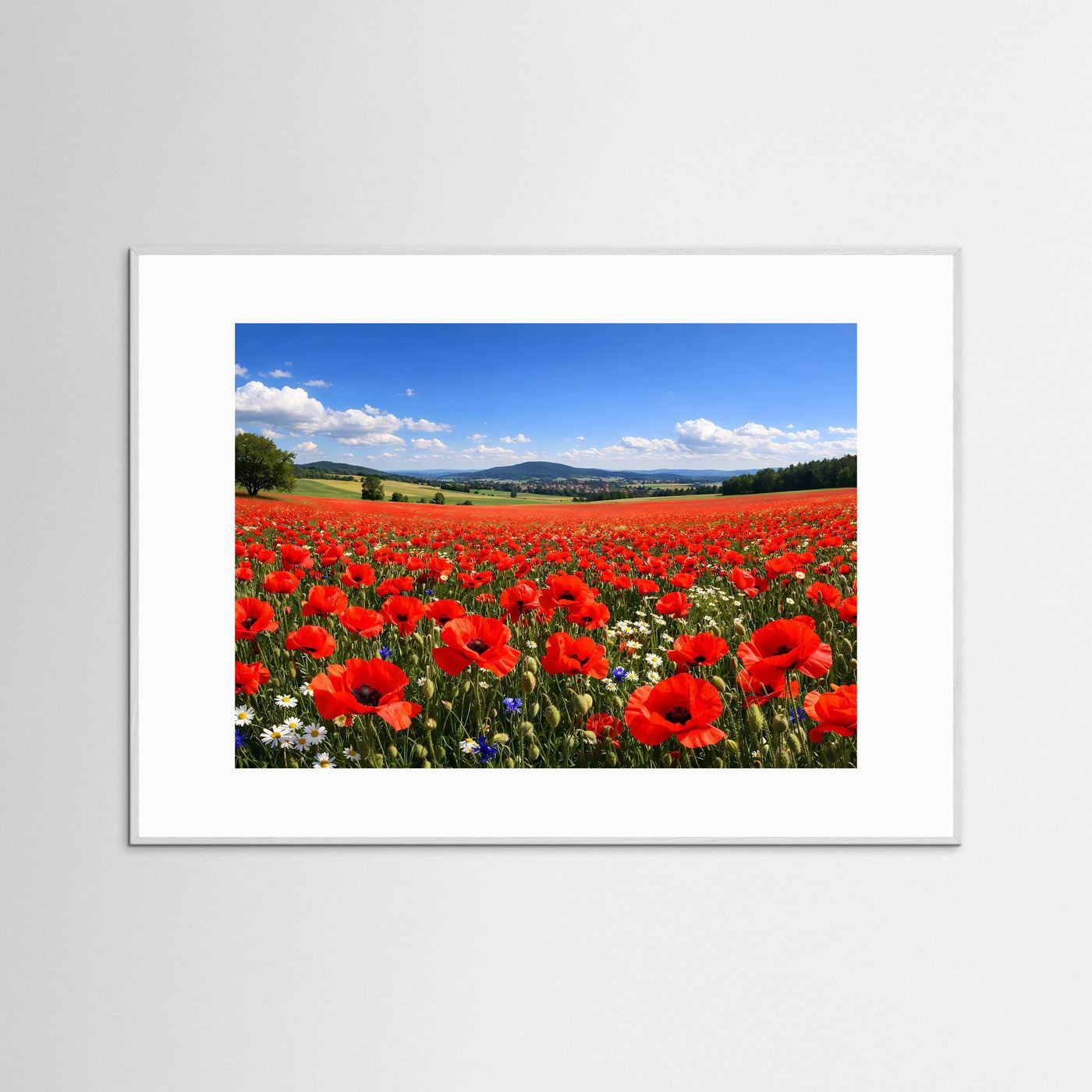 Leuchtendes Mohnblumenfeld im Sonnenschein | Sommer & Natur Poster Querformat
