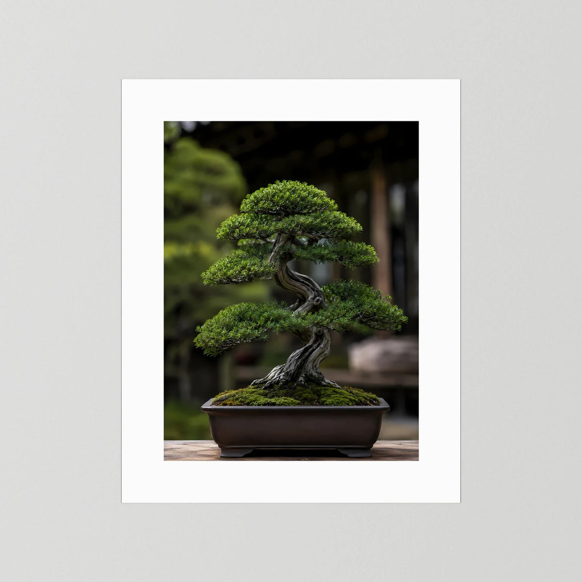 Hochformat-Poster mit Bonsai in Schale, grüne Krone und dunkler, gedrehter Stamm auf weißem Rand.