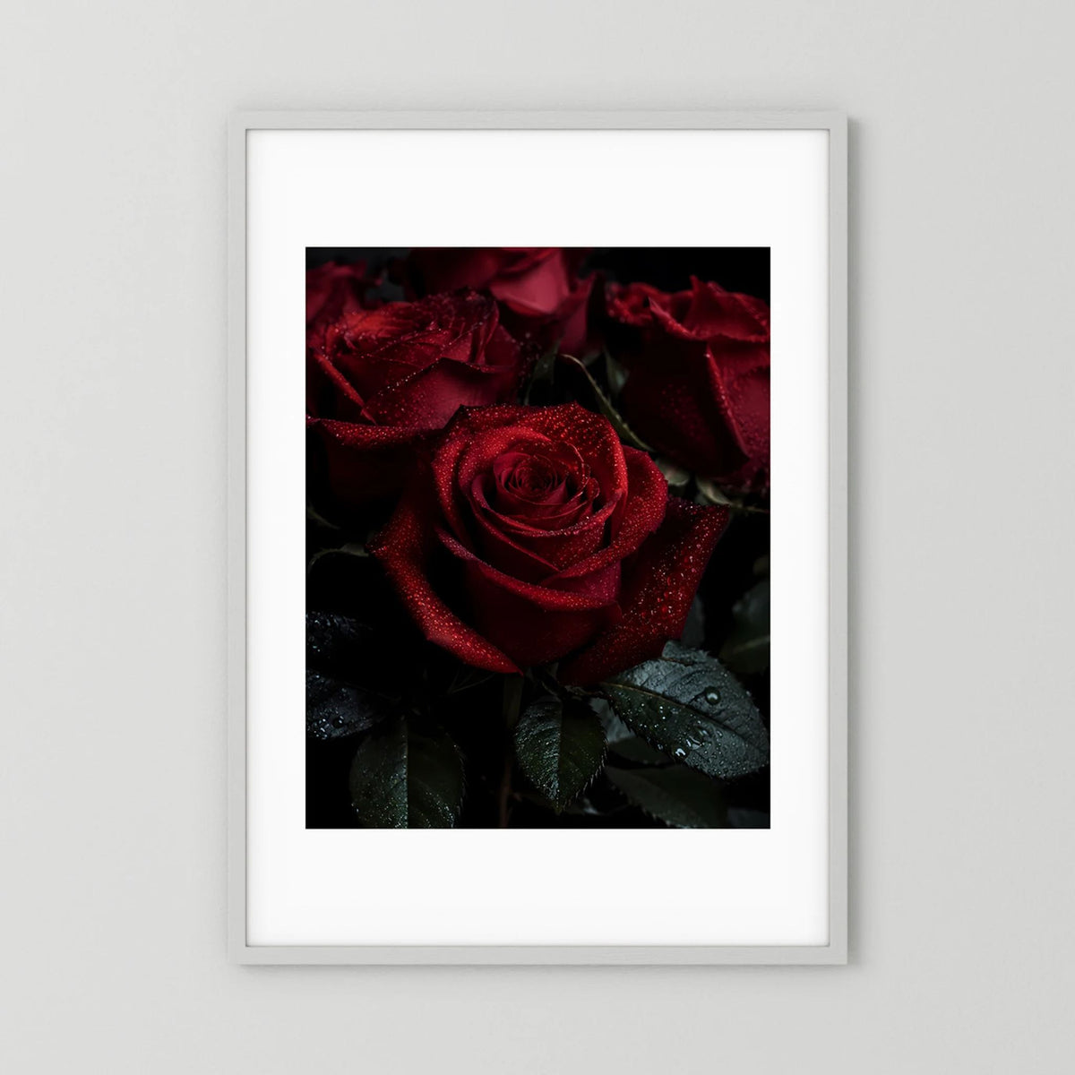Gerahmtes Hochformat-Poster mit dunkelroter Rose, Tautropfen auf Blättern, weißer Rand