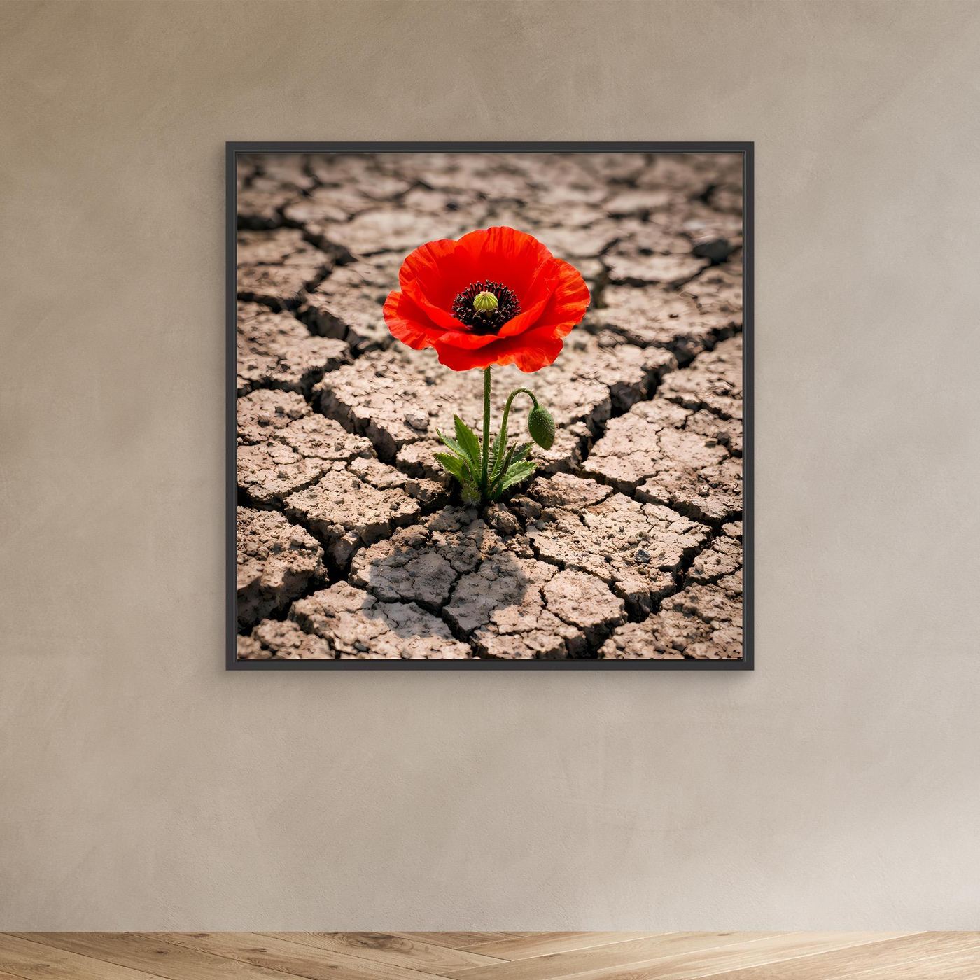 Leinwandbild mit roter Mohnblume auf rissigem Trockenboden, mit dunklem Rahmen