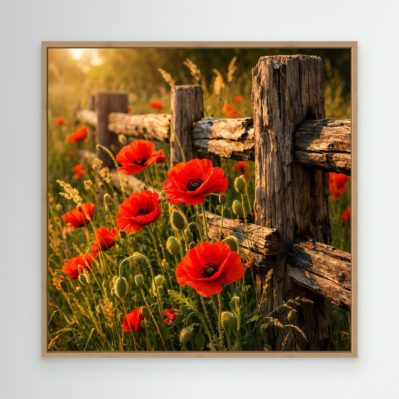 Leinwandbild mit roten Mohnblumen und Holz-Zaun, beiger Holzrahmen