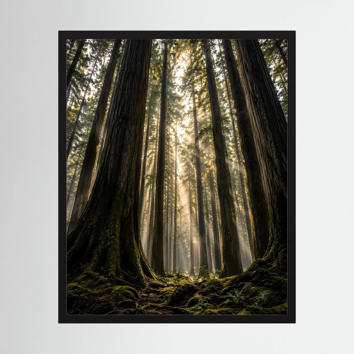 Hochformatiges Poster im schwarzen Rahmen mit Redwood-Wald und Sonnenstrahlen
