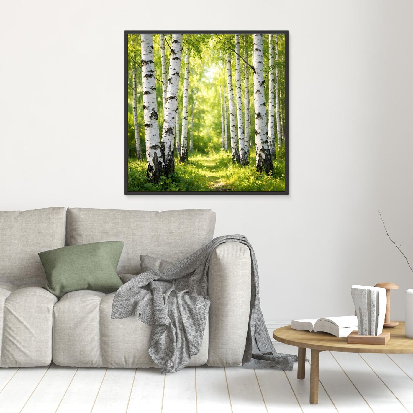 Leinwandbild Birkenwald mit Sonnenlicht, schwarzer Rahmen