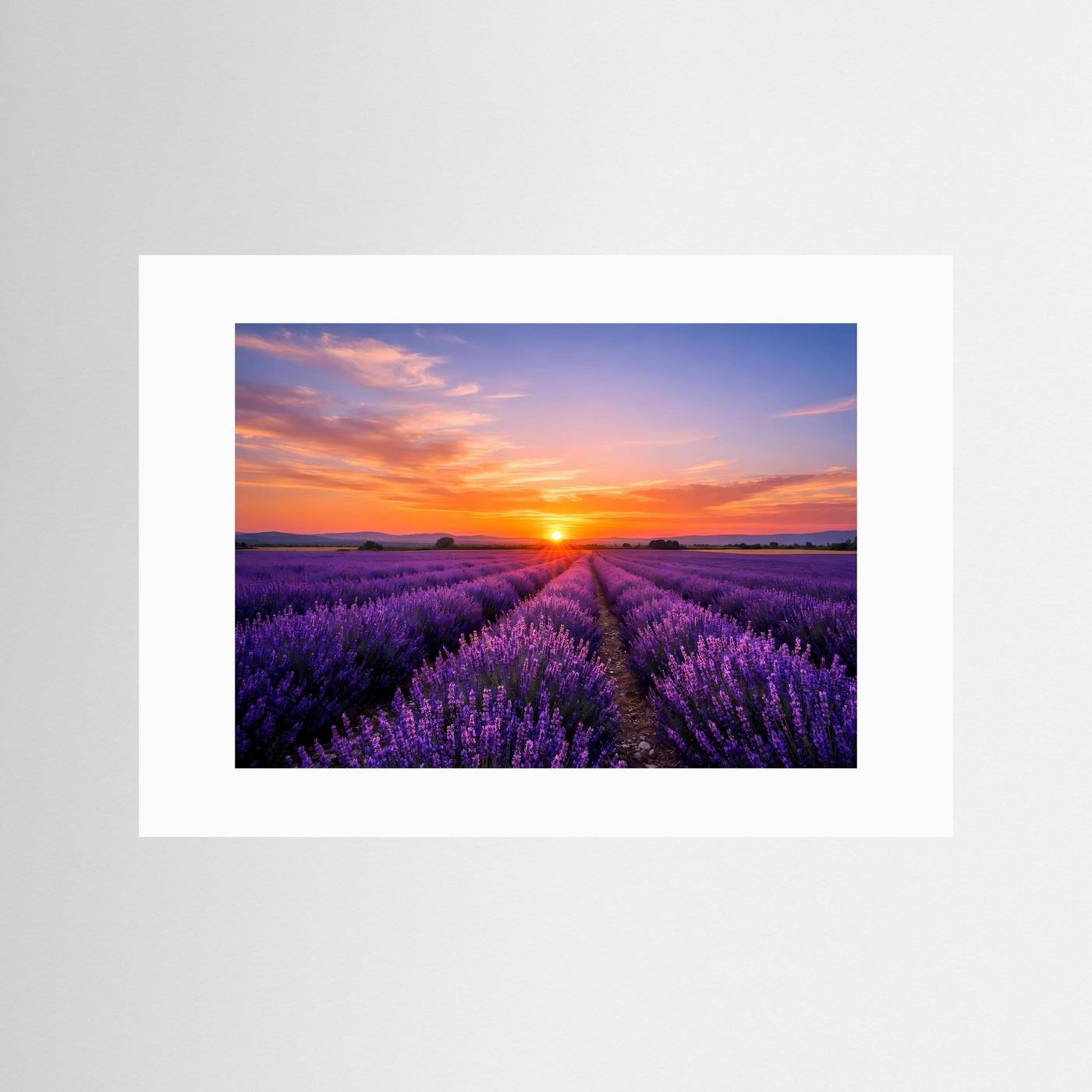 Querformat-Poster mit Lavendelfeld bei Sonnenuntergang, weißer Rahmen