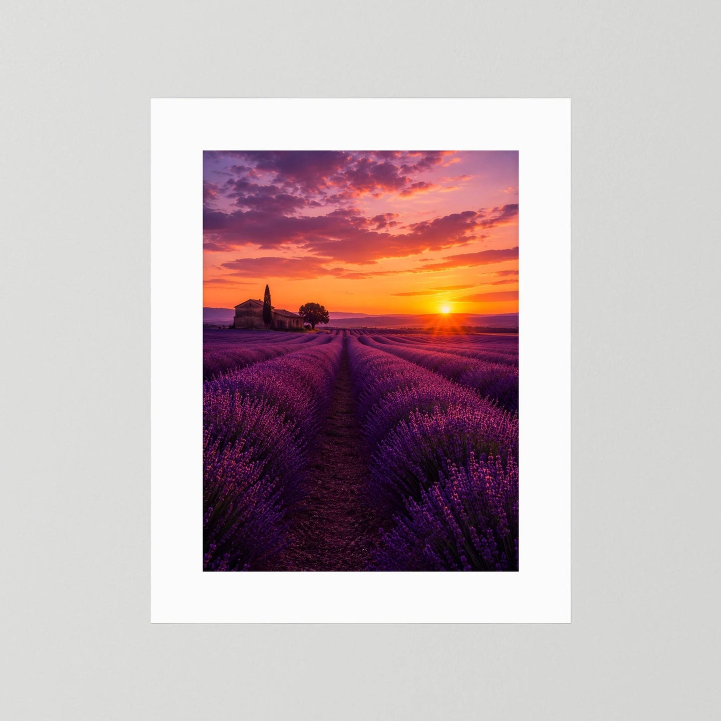Landschaftsposter im Hochformat mit Lavendelfeld im Sonnenuntergang, weißer Rand