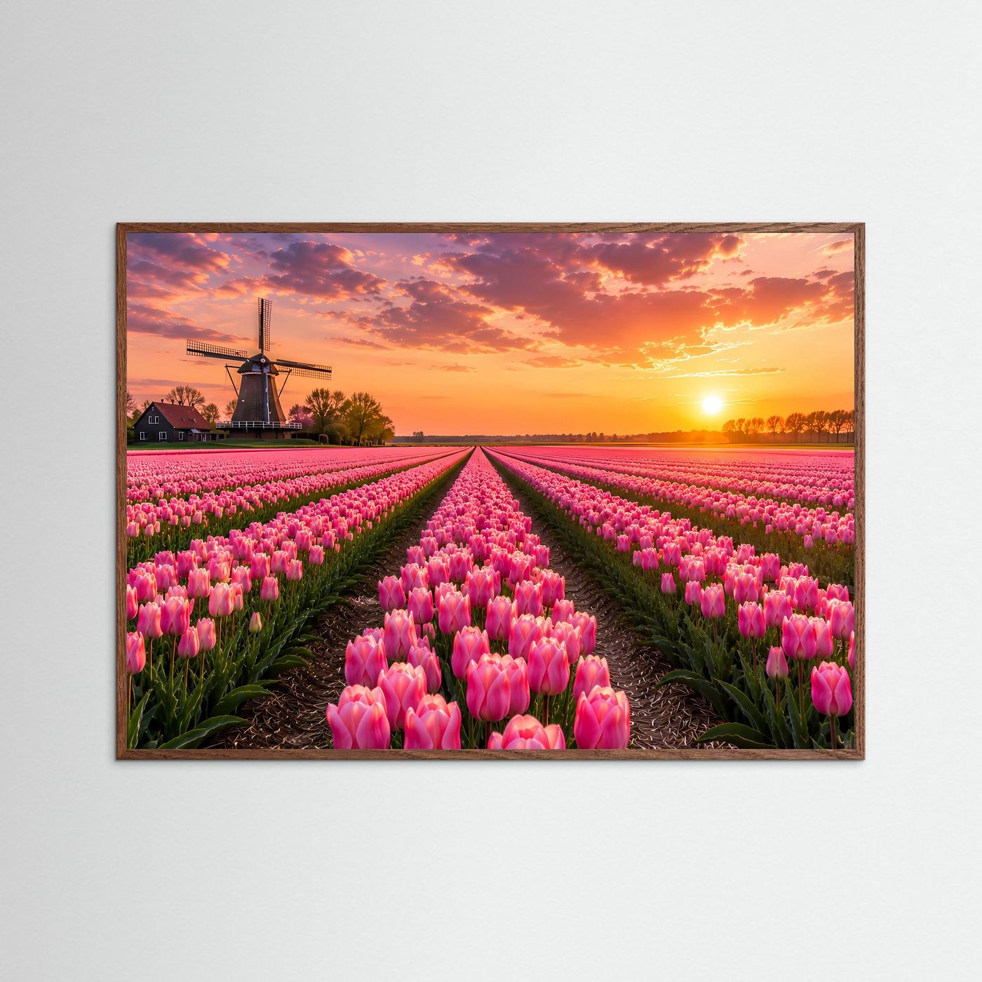Tulpenfeld Poster Querformat | Rosa Tulpen mit Windmühle im Sonnenuntergang