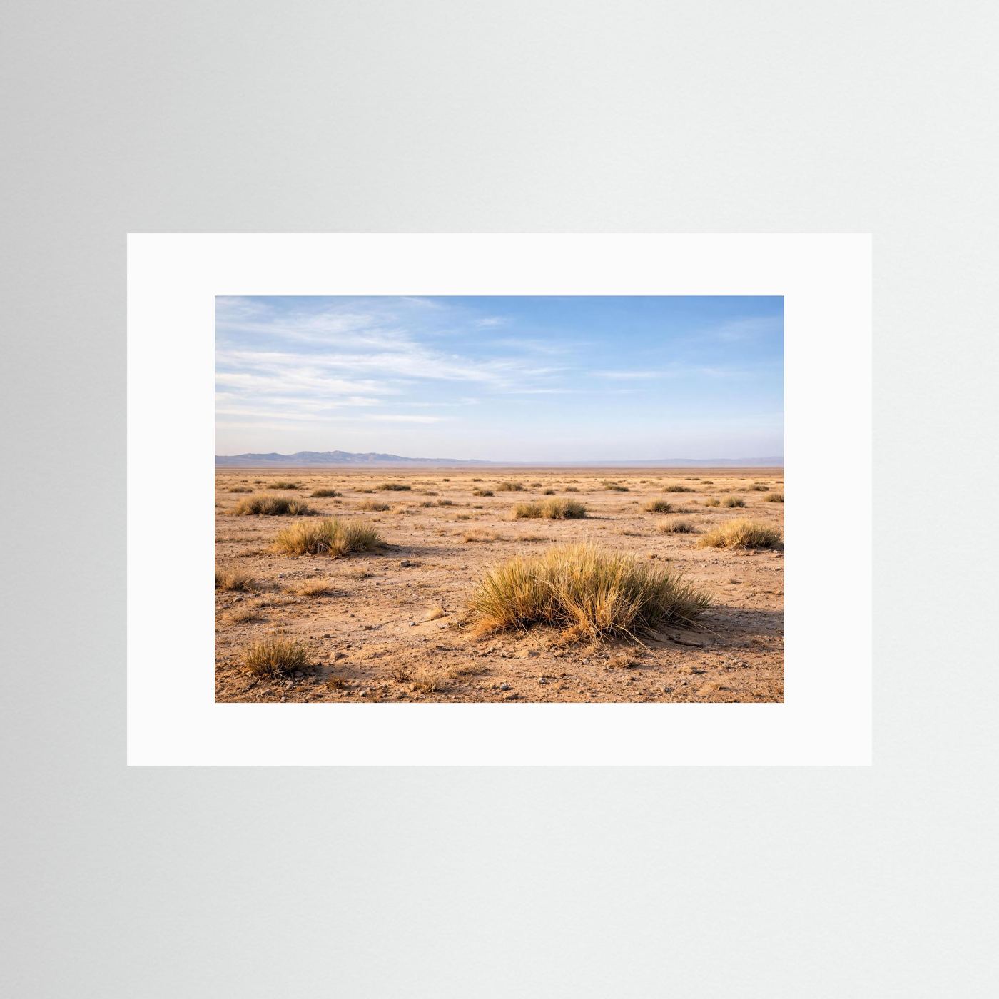 Naturposter Panorama Steppe und Wüste, Querformat, mit weißem Passepartout