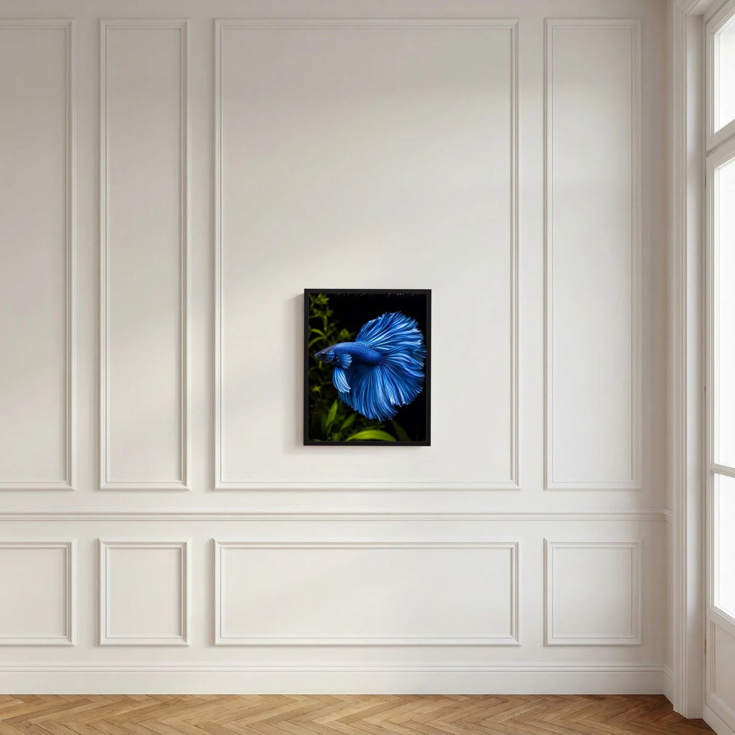 Wandposter im schwarzen Rahmen mit blauem Betta-Kampffisch, zentriert, Hochformat