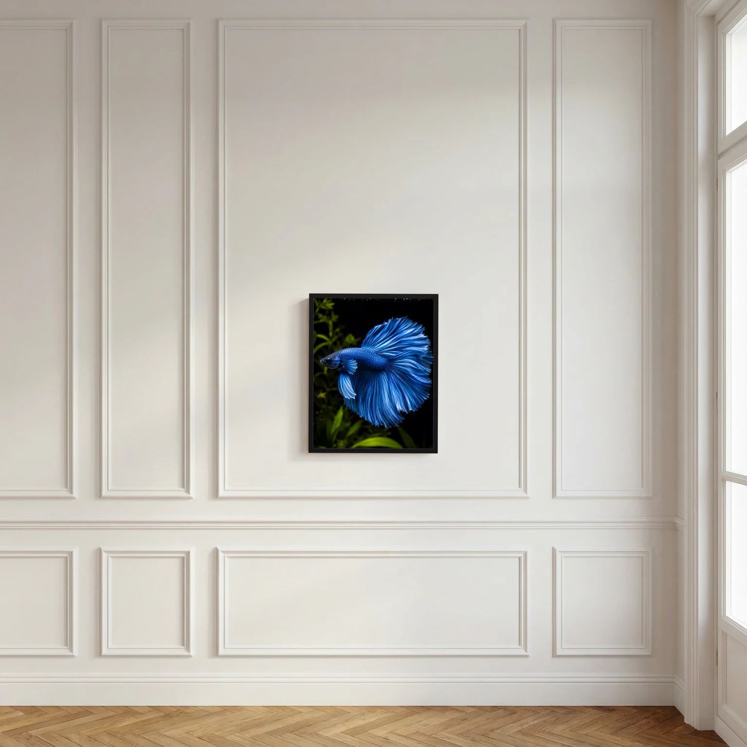 Wandposter im schwarzen Rahmen mit blauem Betta-Kampffisch, zentriert, Hochformat