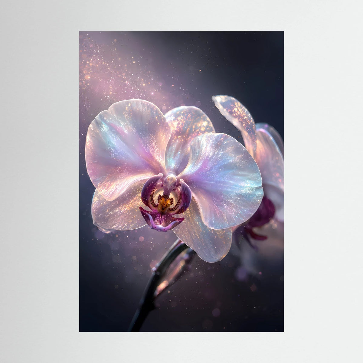 Poster mit pastell schimmernder Orchideenblüte und violetter Blütenmitte